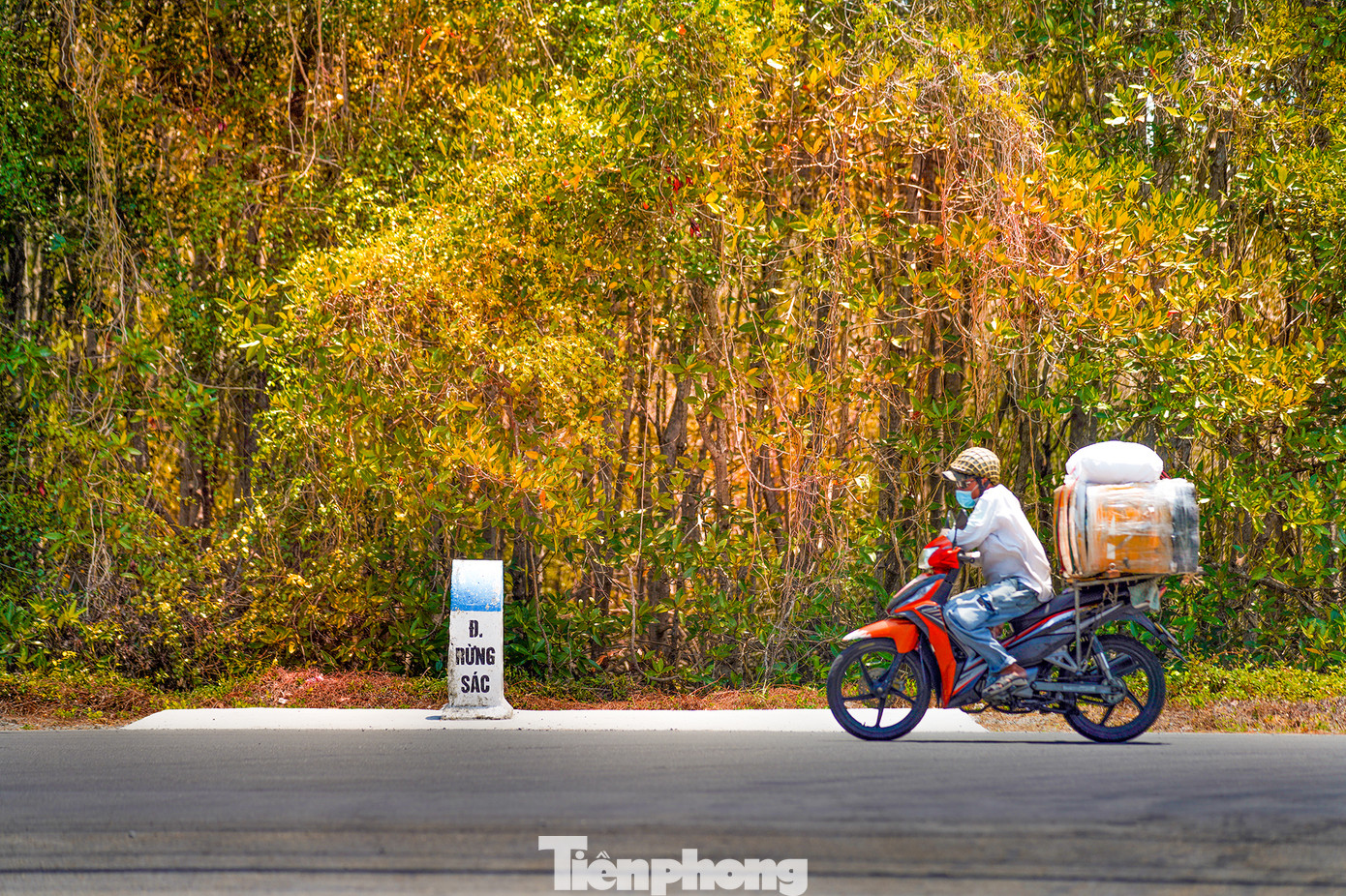 Đường Rừng Sác những ngày này đẹp như tranh bởi sắc hoa nổi bật trên nền trời trong xanh