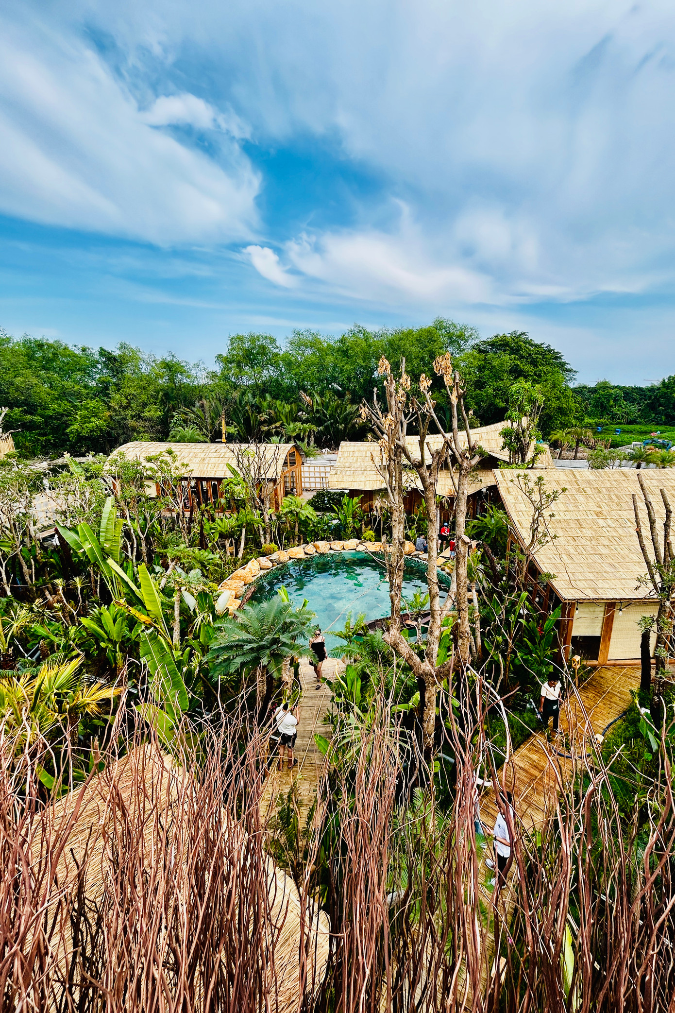 Từ trên cao, du khách có thể nhìn rõ những lối đi xuyên rừng với phông nền phía sau là toàn cảnh trung tâm TPHCM. Một số du khách cũng khá tiếc không mang máy ảnh cơ vào vì giá phụ thu đến 200.000 đồng để có thể chụp những bức ảnh chất lượng.