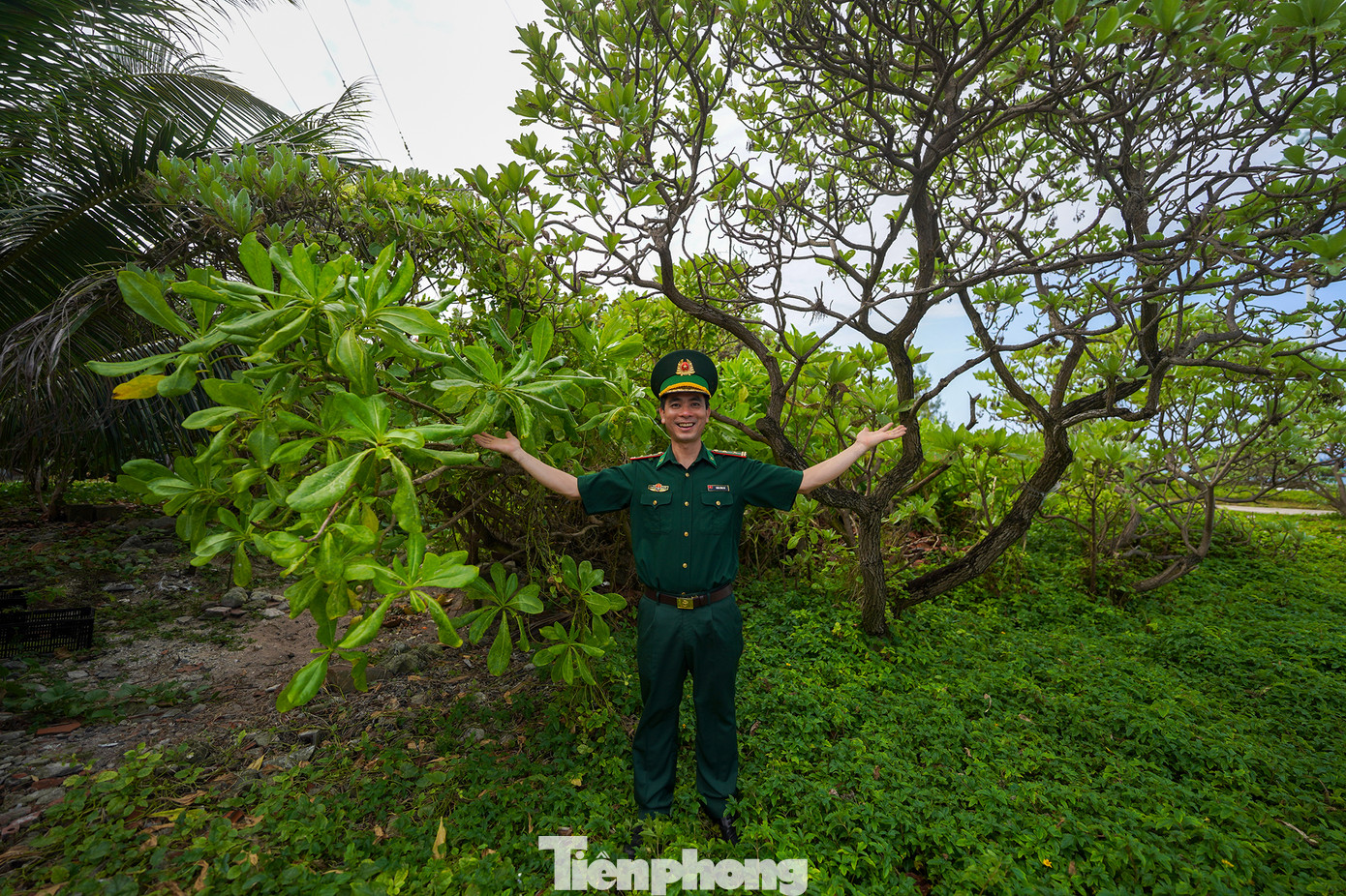 Trung tá Trần Công Du - Đạo diễn ánh sáng Đoàn Văn công Bộ đội Biên phòng, chụp ảnh với hai cây phong ba (bên phải) và cây bão táp. Hai giống cây chống chịu được thời tiết khắc nghiệt giữa biển.
