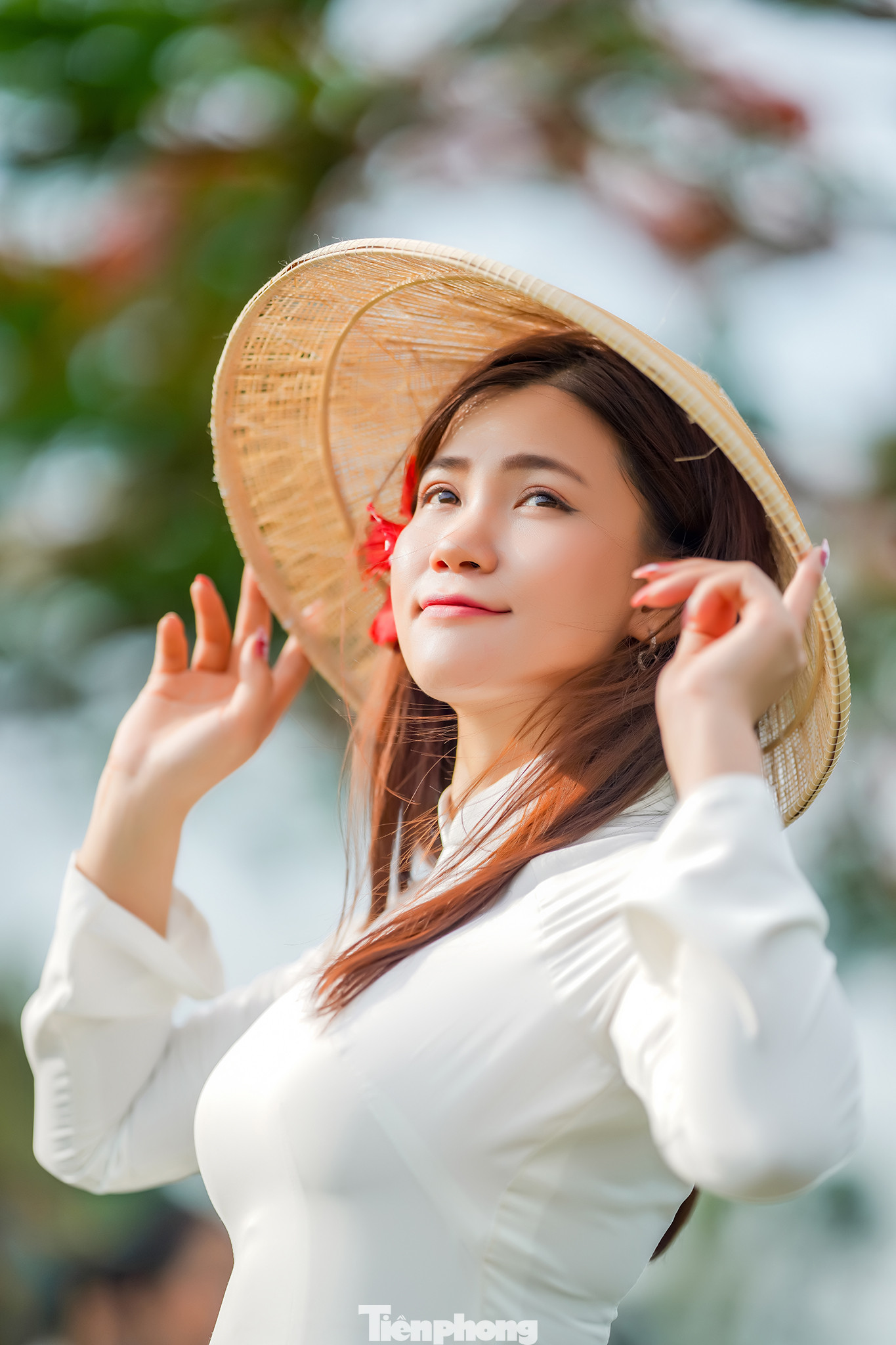 Trên các nền tảng như Facebook, Instagram hay TikTok, từ khóa “cây phượng Quận 12” đang xuất hiện ngày càng nhiều. Hàng trăm bức ảnh, video được chia sẻ với lượng tương tác “khủng”, biến địa điểm này thành một “hotspot” mùa hè tại TPHCM.