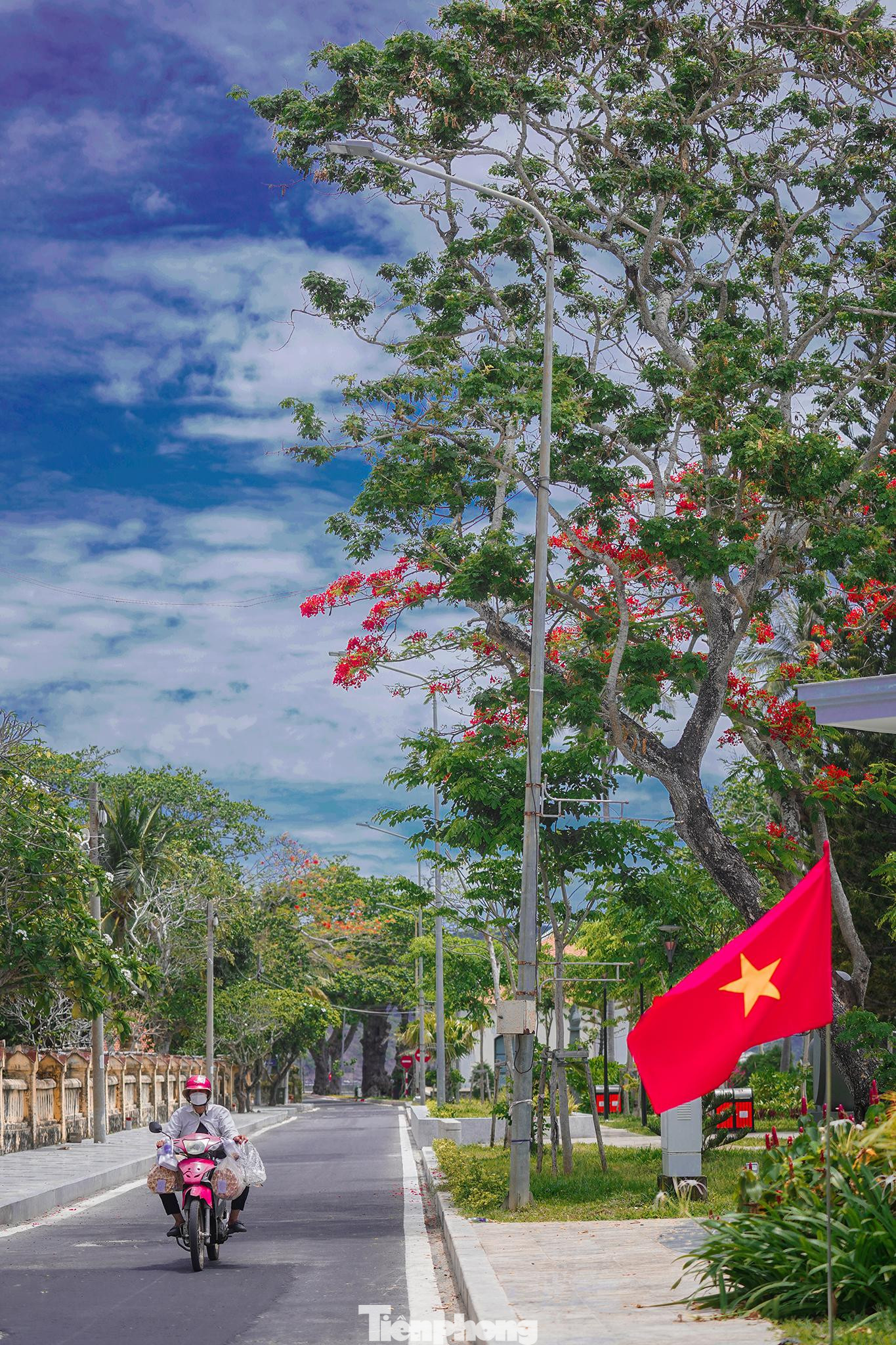 Sắc phượng đỏ thắm khu vực điểm xuất phát, ngay trước di tích nhà Chúa đảo. Sắc phượng đỏ thắm khu vực điểm xuất phát, ngay trước di tích nhà Chúa đảo.