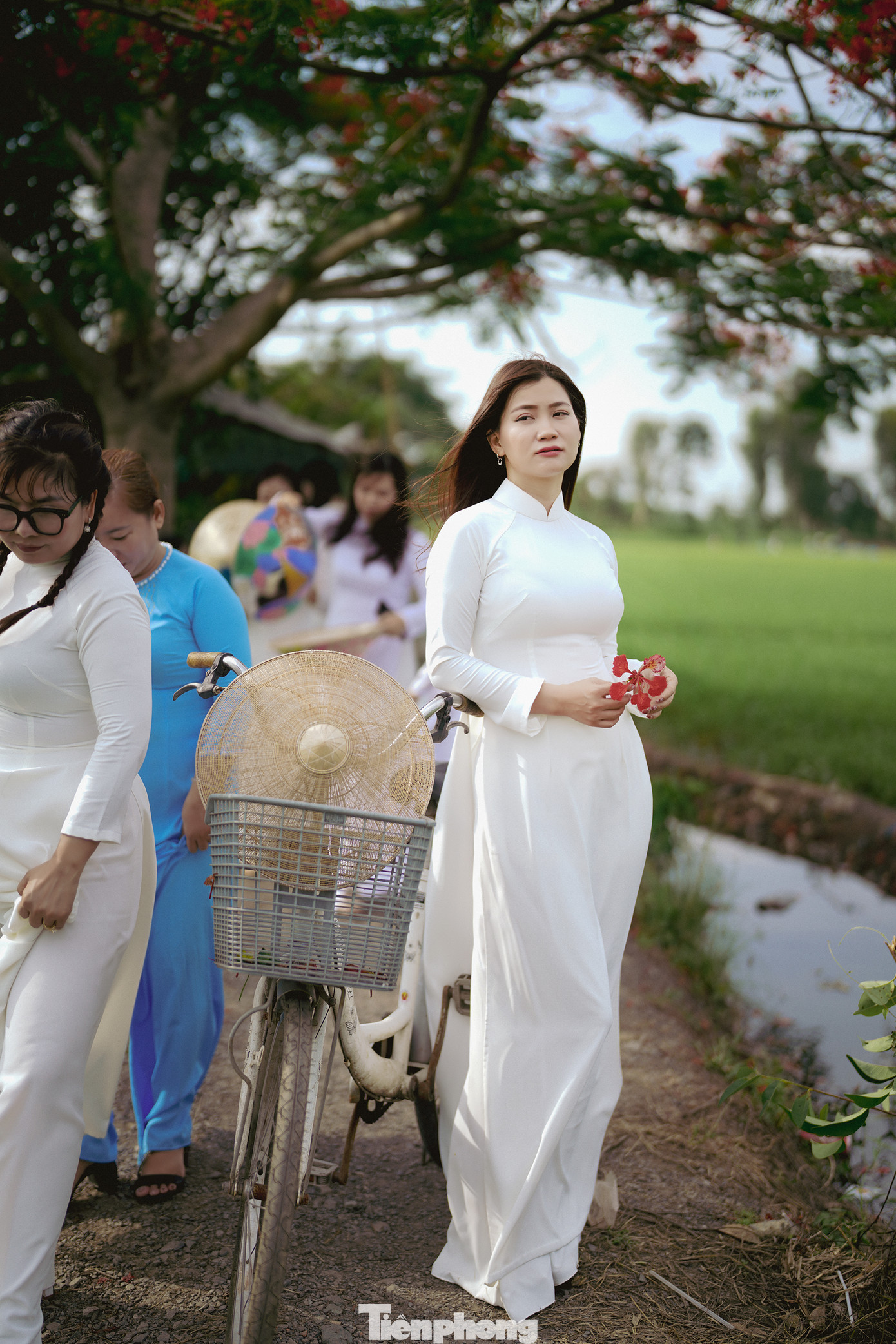 “Cây phượng này đẹp lắm, nhìn xa như một bức tranh vẽ. Tụi em đi hơn hai chục cây số chỉ để chụp vài kiểu ảnh thôi", bạn Võ Huệ (ngụ quận Tân Bình) chia sẻ khi đang tạo dáng bên chiếc xe đạp cũ.