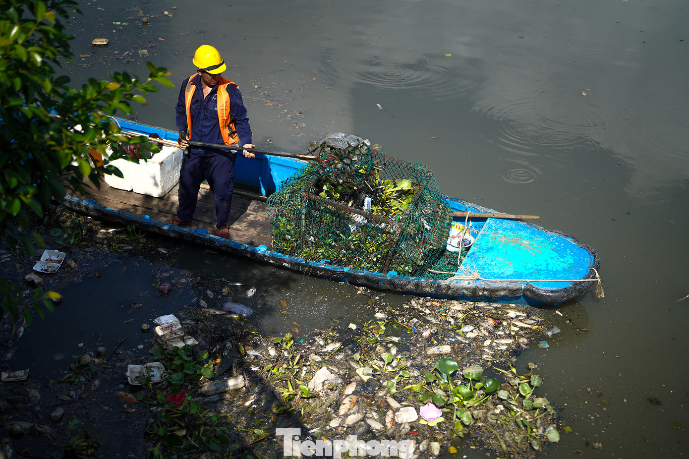 Sau cơn mưa lớn tối 7/5, lượng cá chết nhiều. Đoạn kênh dài khoảng 3km từ đầu cầu Thị Nghè (quận 1) đến cầu Công Lý (quận 3) bị bủa vây bởi hàng loạt xác cá. Sau cơn mưa lớn tối 7/5, lượng cá chết nhiều. Đoạn kênh dài khoảng 3km từ đầu cầu Thị Nghè (quận 1) đến cầu Công Lý (quận 3) bị bủa vây bởi hàng loạt xác cá.