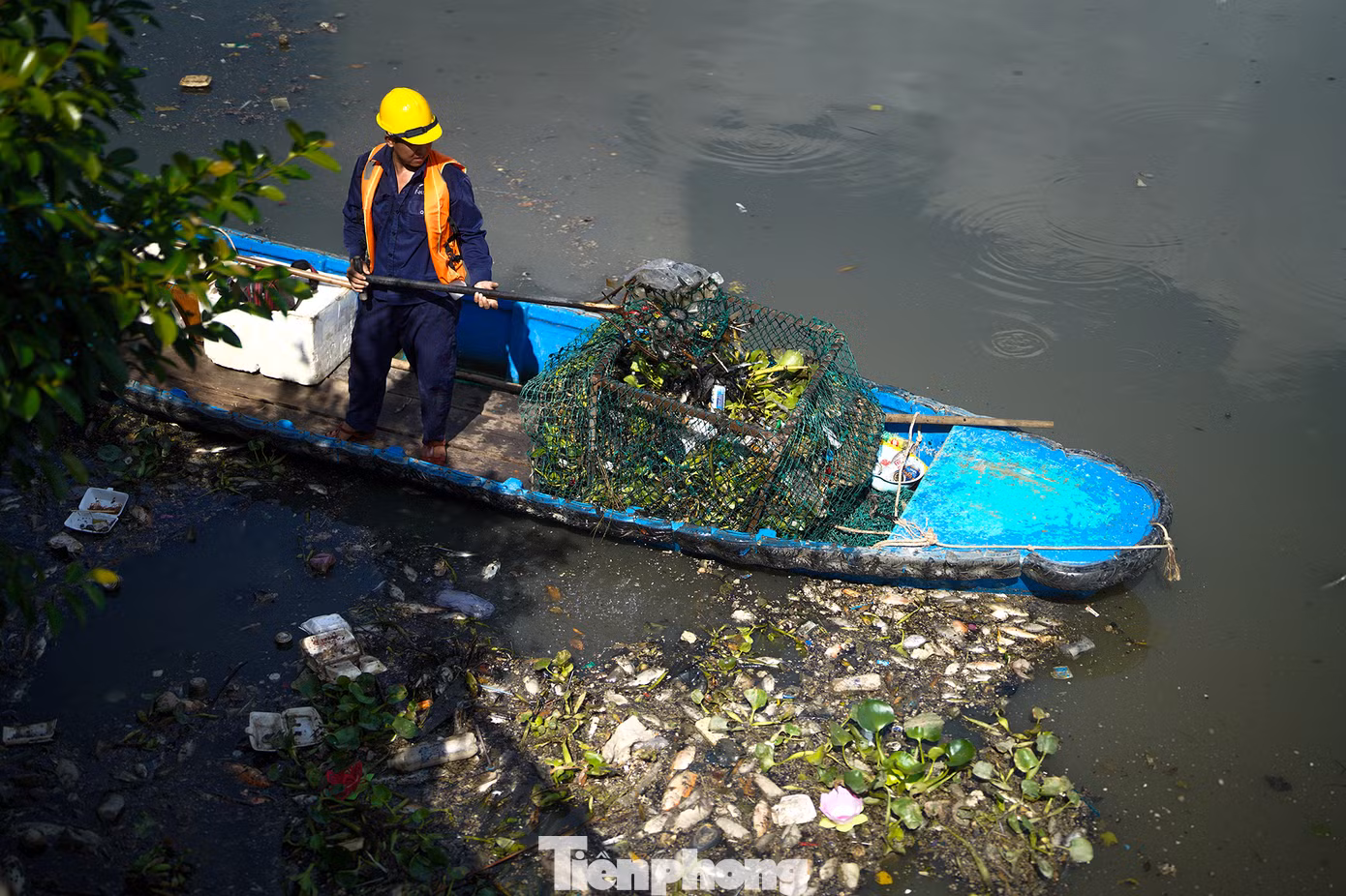 Sau cơn mưa lớn tối 7/5, lượng cá chết nhiều. Đoạn kênh dài khoảng 3km từ đầu cầu Thị Nghè (quận 1) đến cầu Công Lý (quận 3) bị bủa vây bởi hàng loạt xác cá.