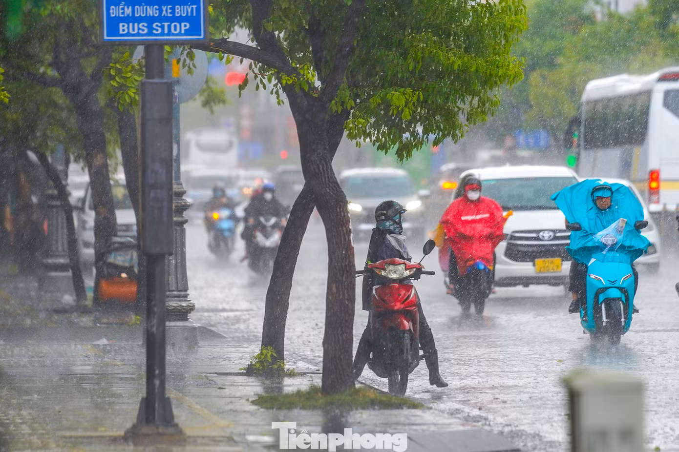 Một người trú mưa dưới tán cây. Thời tiết TPHCM bắt đầu chuyển mùa mưa, việc tránh mưa như thế này rất nguy hiểm, người dân cần trang bị kiến thức để bảo vệ bản thân.