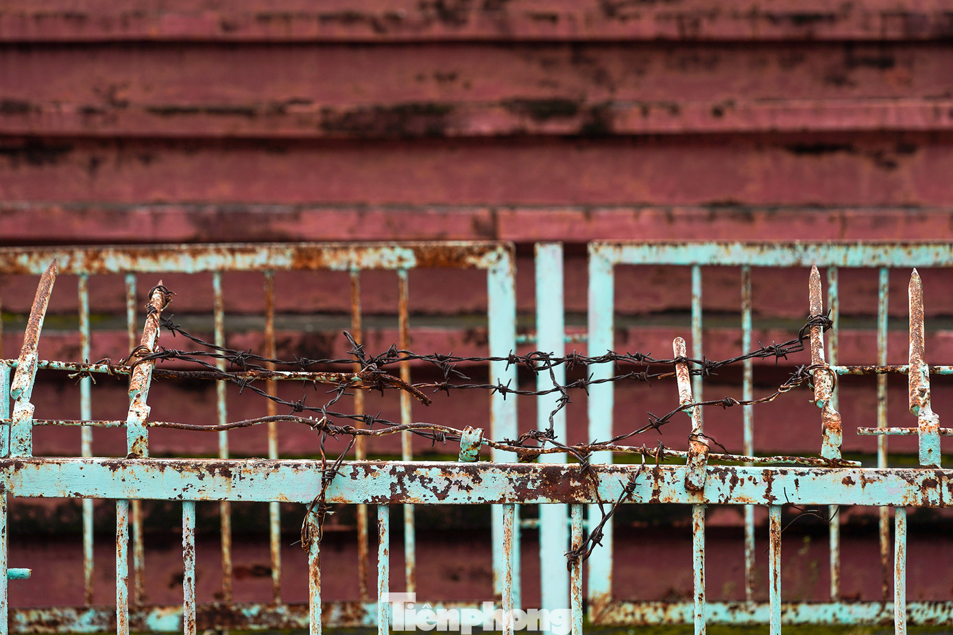 Dấu vết một thời SVĐ Long An chứng kiến sự cuồng nhiệt của khán giả.