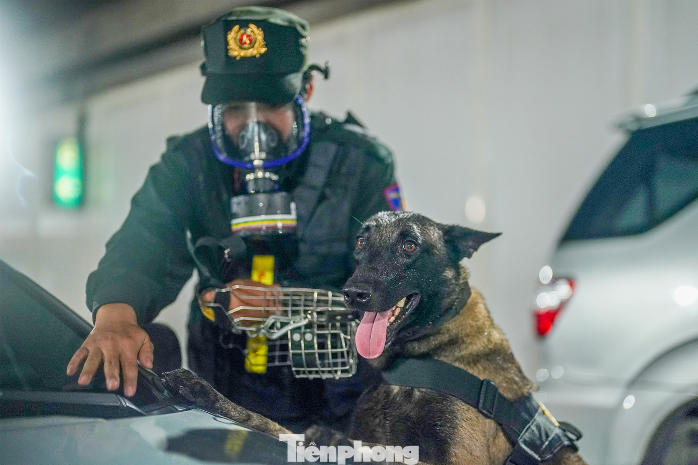 Lực lượng chó nghiệp vụ được triển khai để tham gia công tác tìm kiếm nạn nhân bị mắc kẹt nhằm cứu nạn, cứu hộ nạn nhân kịp thời.