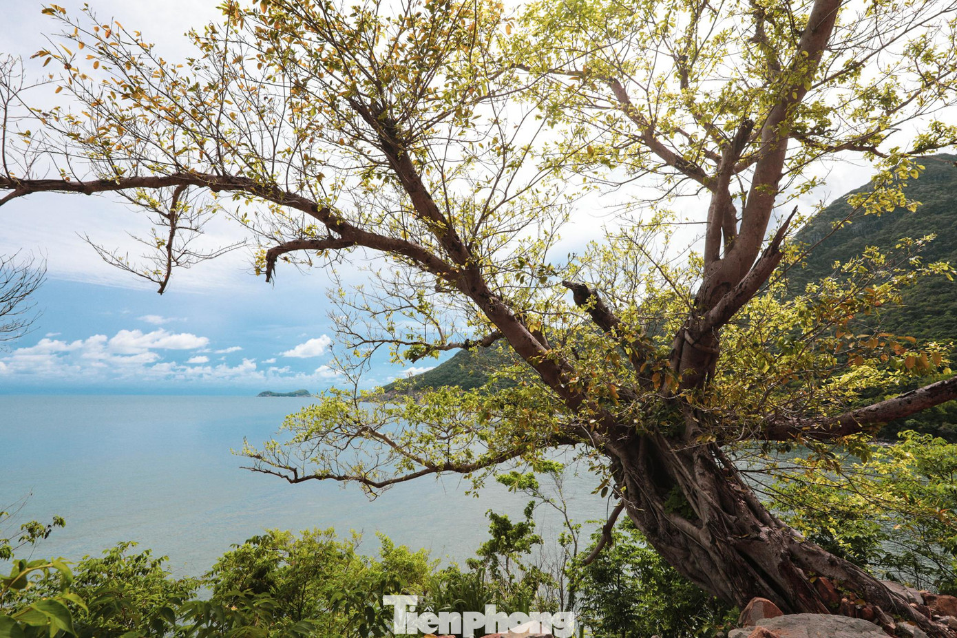 “Hoang sơ”, “hùng vĩ”, “khó quên” đó sẽ là những cảm nhận của du khách khi đặt chân đến hòn đảo này. Nơi đây có những bãi biển với bờ cát trắng trải dài bất tận chưa được khai thác nhiều, những dãy núi lớn, phủ xanh cả không gian huyện đảo, giúp du khách được về với thiên nhiên trong lành, mát dịu. “Hoang sơ”, “hùng vĩ”, “khó quên” đó sẽ là những cảm nhận của du khách khi đặt chân đến hòn đảo này. Nơi đây có những bãi biển với bờ cát trắng trải dài bất tận chưa được khai thác nhiều, những dãy núi lớn, phủ xanh cả không gian huyện đảo, giúp du khách được về với thiên nhiên trong lành, mát dịu.