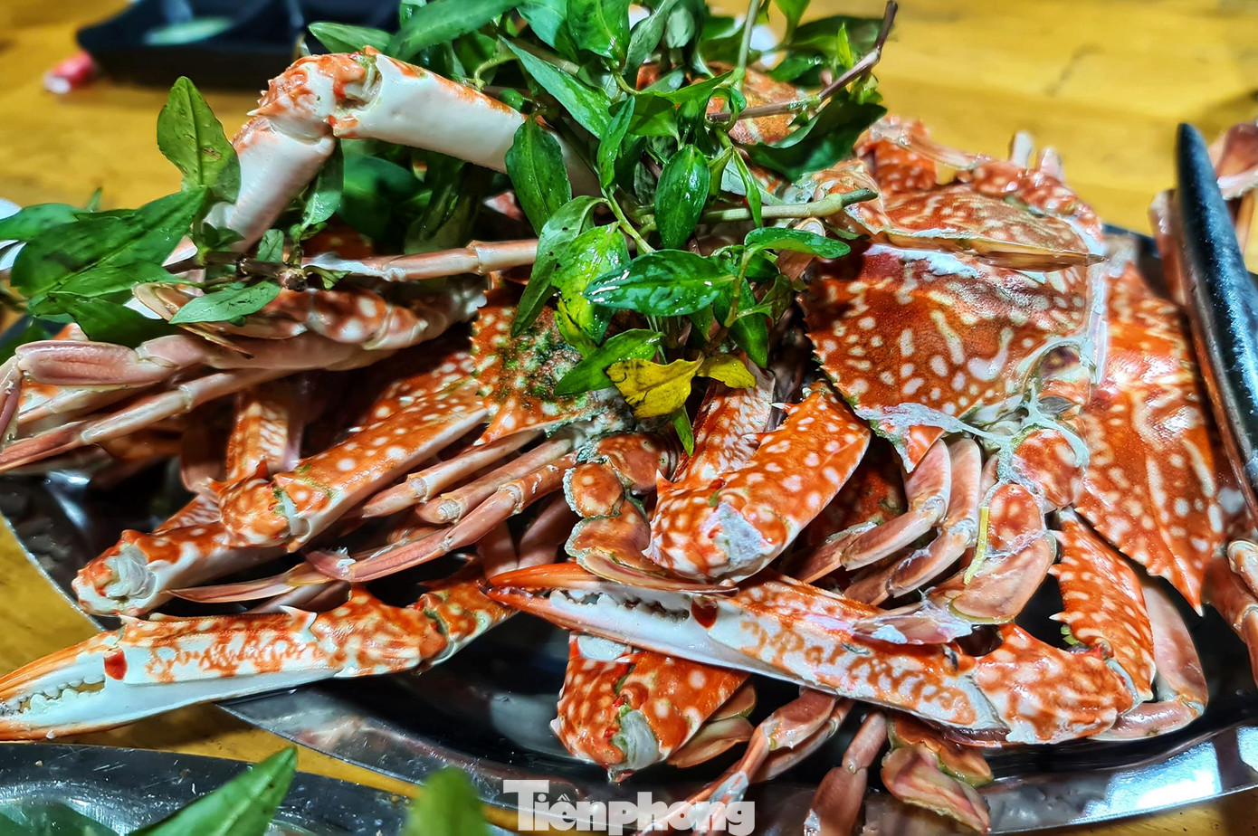 Hải sản Côn Đảo với vô vàn những món ăn đặc biệt như ốc vú nàng, bề bề rang muối, ghẹ tươi hấp, cua mặt trăng,... luôn hấp dẫn các khách du lịch. Hải sản Côn Đảo với vô vàn những món ăn đặc biệt như ốc vú nàng, bề bề rang muối, ghẹ tươi hấp, cua mặt trăng,... luôn hấp dẫn các khách du lịch.