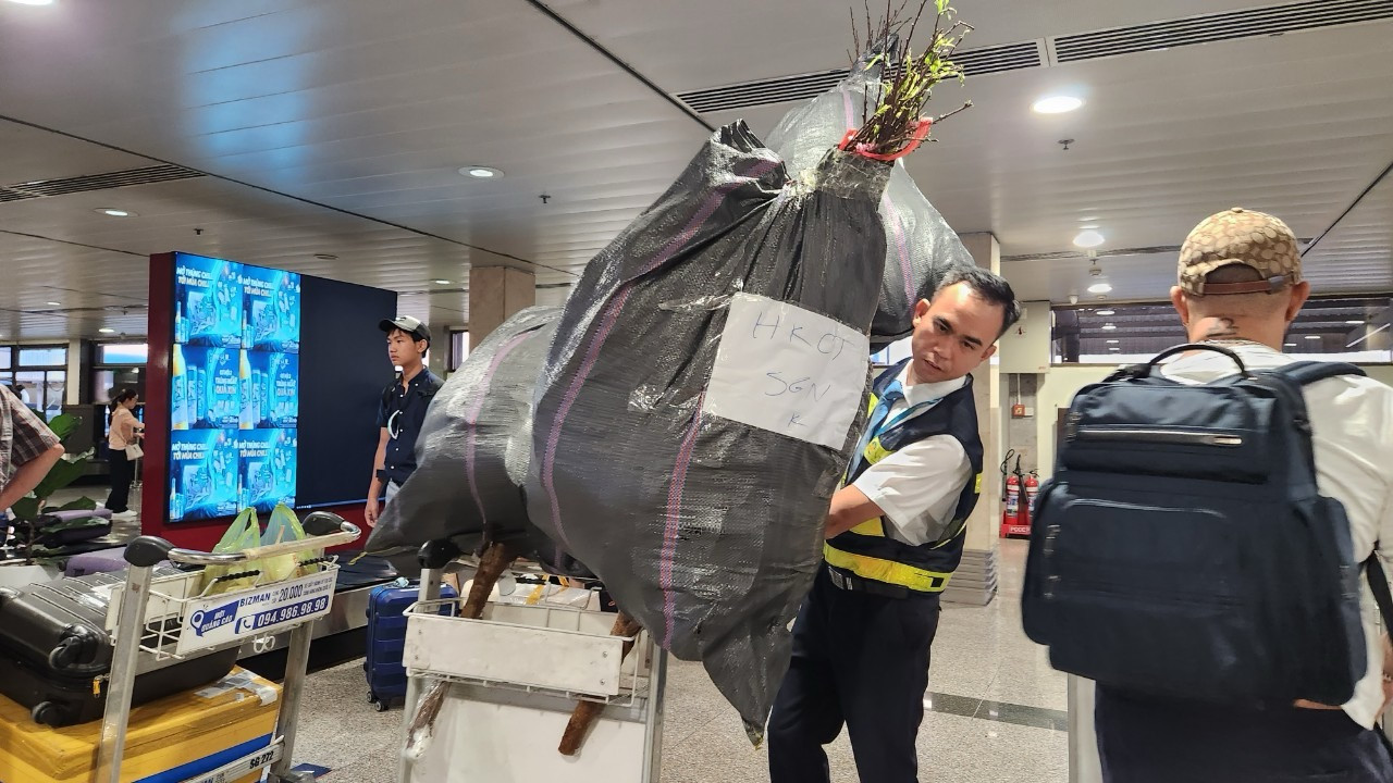 Nhân viên sân bay với những túi hàng hoa Tết. Nhân viên sân bay với những túi hàng hoa Tết.