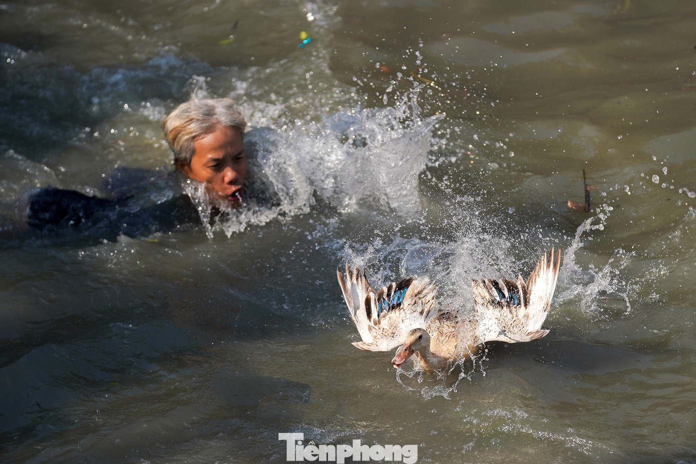 Làm Chay là lễ hội truyền thống được tổ chức hằng năm tại đình Tân Xuân, Linh Phước tự, chùa Ông và chợ Tầm Vu (thị trấn Tầm Vu, huyện Châu Thành, Long An) với mục đích khôi phục các giá trị truyền thống dân gian, cầu mưa thuận gió hòa, mùa màng bội thu và đất nước an bình.