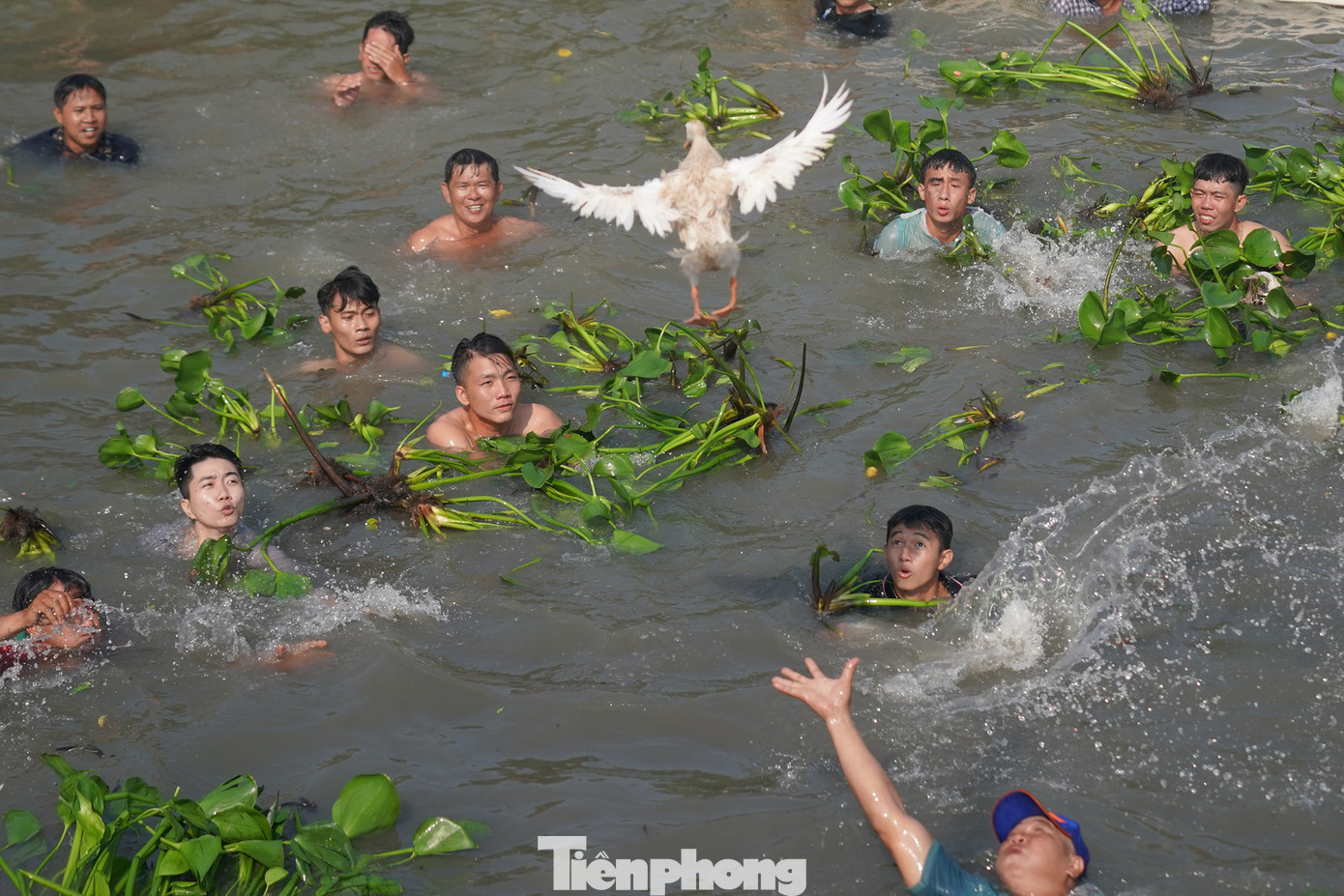 &quot;Tất cả người dự thi đều phải bắt vịt bằng tay không, không được sử dụng bất kỳ dụng cụ hỗ trợ nào. Cuộc thi không giới hạn số người tham gia. Ai có khả năng thì cứ nhảy xuống bắt, chỉ cần biết bơi lội thôi&quot; - một thành viên thả vịt cho hay.