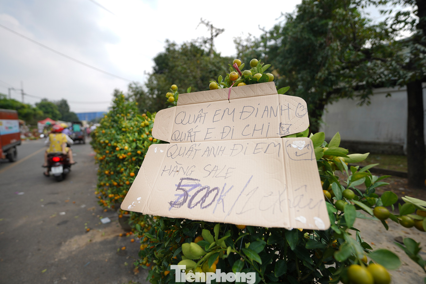 Giá thay đổi liên tục, sửa ngay trên giá cũ khiến người mua hoa cả mắt.