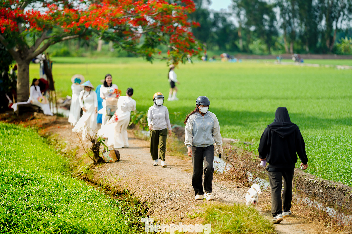 Không chỉ có sinh viên, nhiều nhiếp ảnh gia nghiệp dư cũng tranh thủ đến ghi lại khoảnh khắc chớm hè