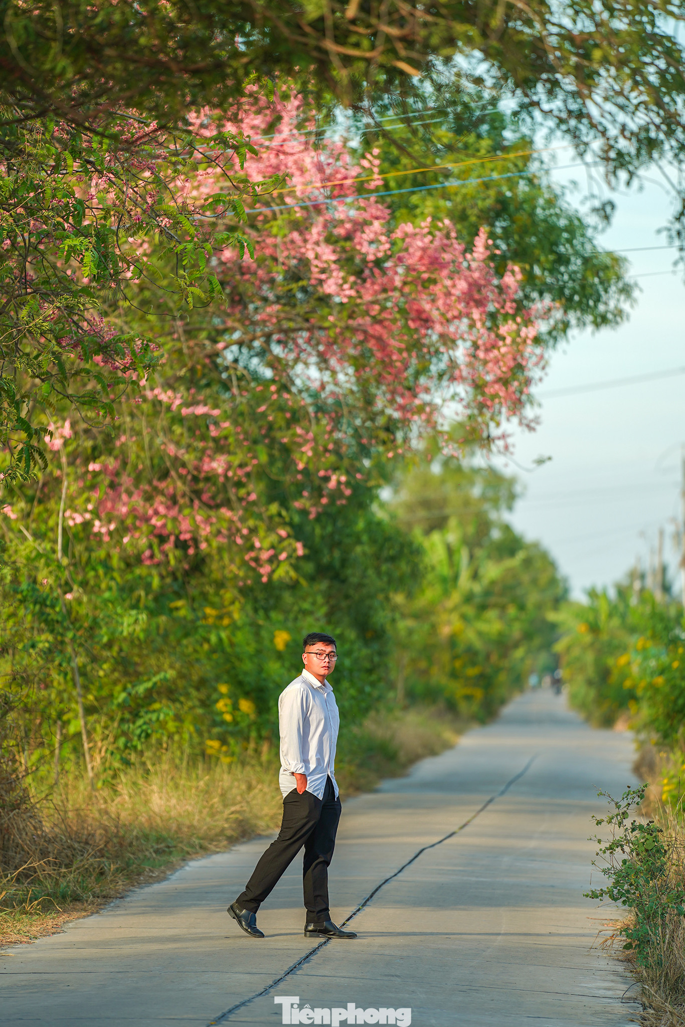 &quot;Trong ký ức tuổi thơ tôi, ô môi mới để lại những kỷ niệm, nhất là trái của nó. Hồi còn nhỏ, mùa ô môi đến là mùa hạnh phúc nhất vì mỗi khi mẹ đi chợ về là tôi có quà. Thịt trái ô môi ăn ngon, mẹ dặn kỹ là ăn nhả xác, không được nuốt&quot;, bạn Phạm Thái Ngọc chia sẻ. Theo Thái Ngọc, cây ô môi bây giờ không còn nhiều, tôi cũng không thấy ở đâu bán giống cây này. Cách đây vài năm, trên đường quê, tôi thấy màu hoa hồng phơn phớt của một cây ven đường, dừng xe lại nhìn thì mới hay thì ra đó là cây ô môi. &quot;Giờ cứ canh mùa hoa nở ra đây chụp ảnh&quot;, Thái Ngọc chia sẻ.