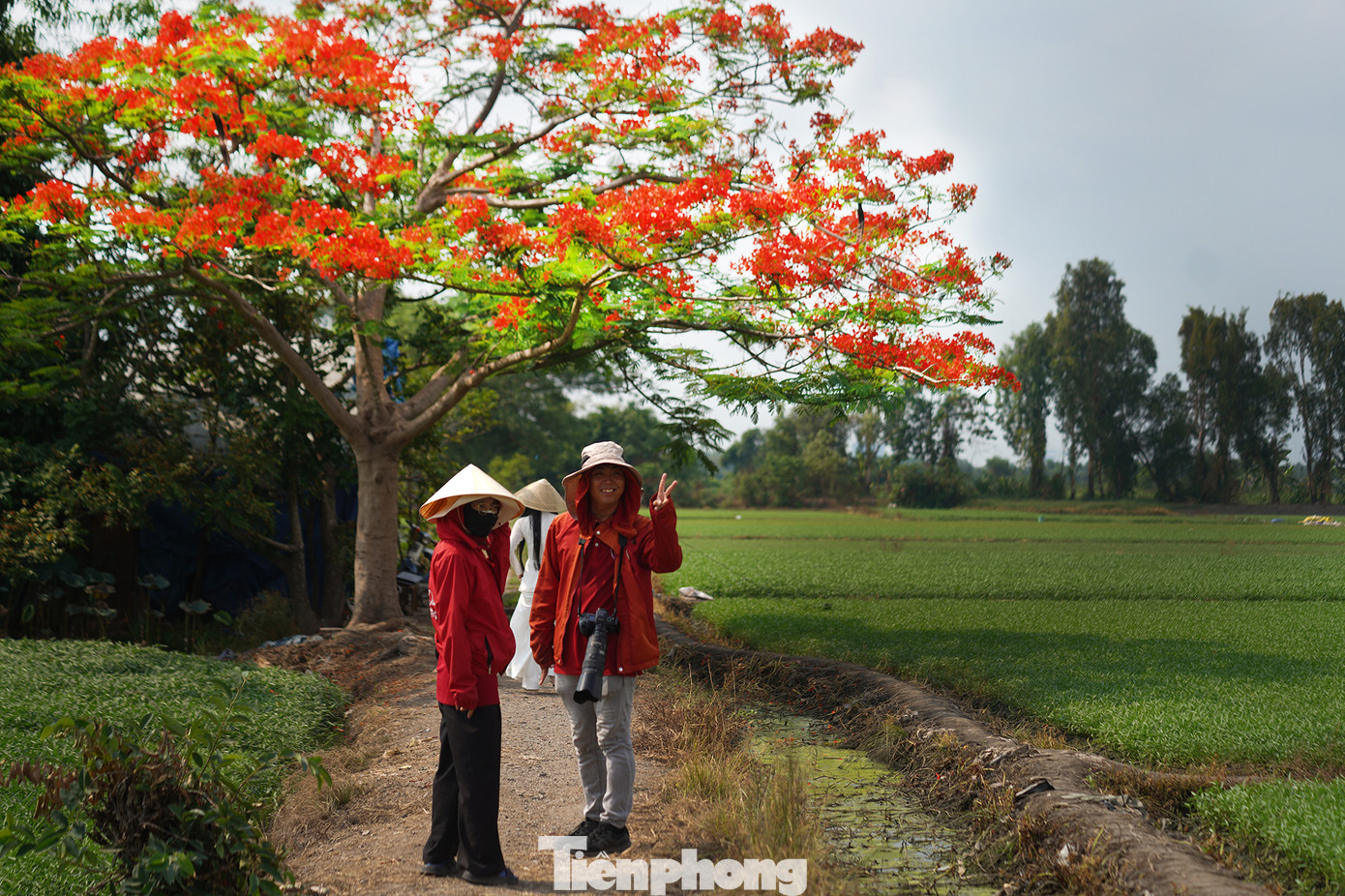 Để có được bộ ảnh chất lượng, ưng ý, nhiều bạn trẻ còn đầu tư thuê cả một ê-kíp chuyên nghiệp thực hiện.