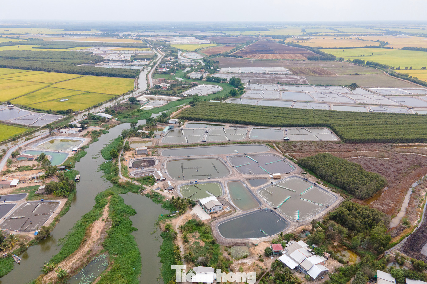 Những con số của Sở NN&PTNT phản ánh tình hình hiện tại, nhưng về lâu về dài thì chưa thể đánh giá được mức độ tác động môi trường từ việc nuôi tôm tự phát. Những con số của Sở NN&PTNT phản ánh tình hình hiện tại, nhưng về lâu về dài thì chưa thể đánh giá được mức độ tác động môi trường từ việc nuôi tôm tự phát.