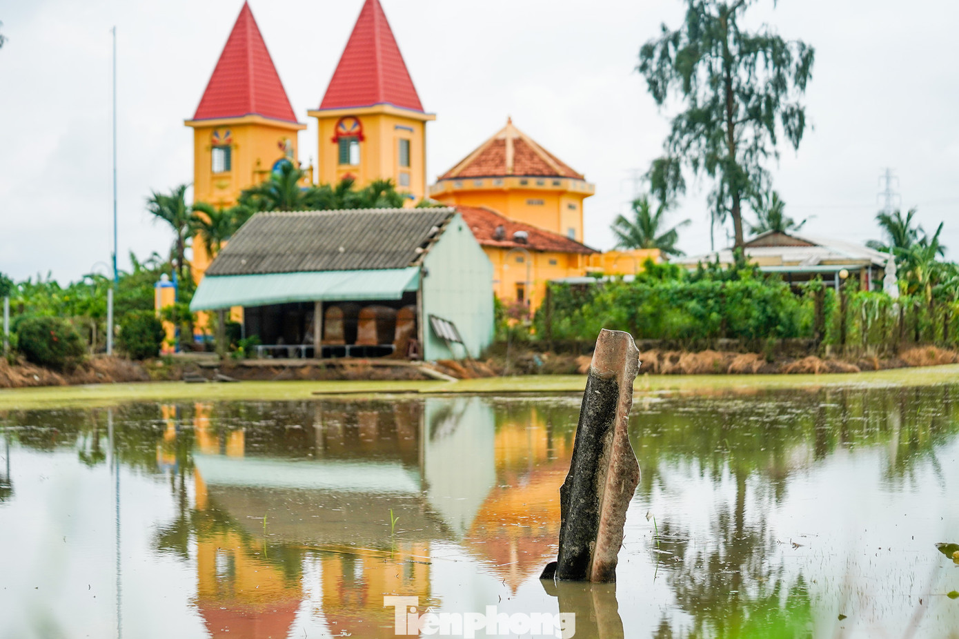 &quot;Không thể tin được, mấy tấm tuýt-rô nặng như thế mà gió tốc lên rồi bay như mấy tờ giấy&quot;, ông Hai, ngụ xã Bình Quới kể.
