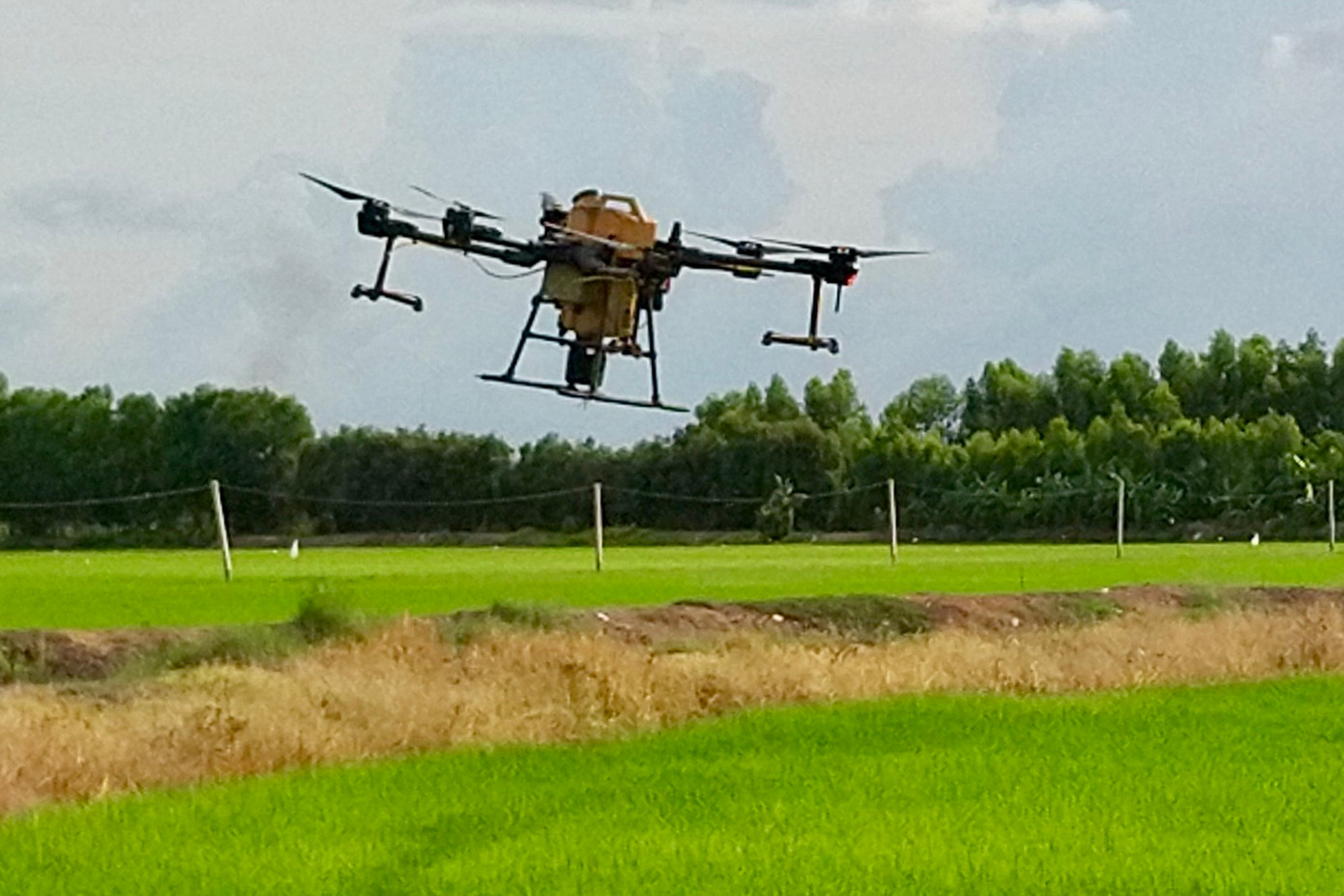 Thiết bị phun thuốc va chạm đường dây điện gây mất điện diện rộng gây gián đoạn việc cung cấp điện cho khoảng 76.000 hộ gia đình.(Ảnh minh hoạ)