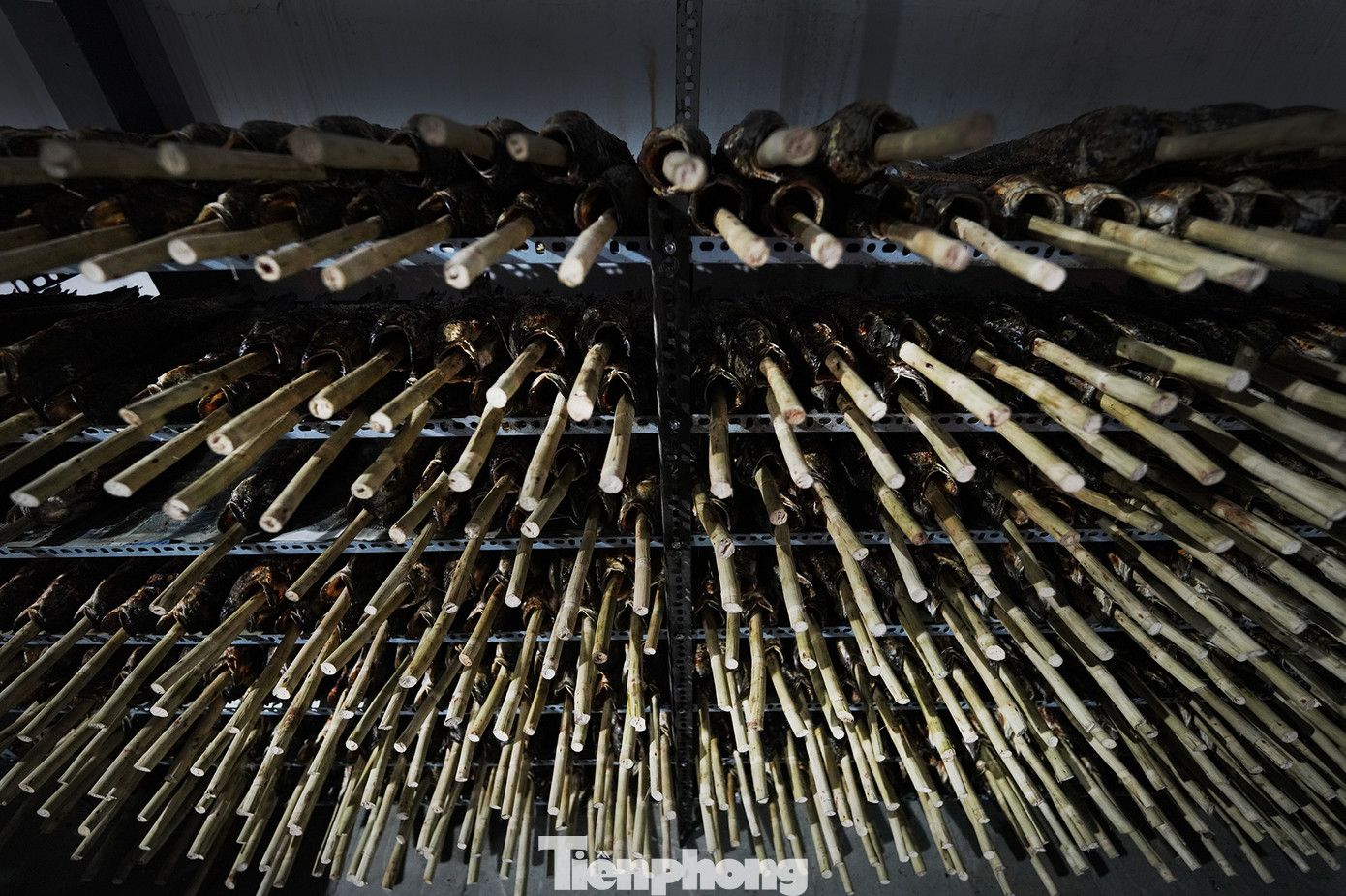 Hàng trăm con cá lóc nướng mía được xử lý sơ để kịp phục vụ khách hàng. Cá là biểu tượng của sự sinh sôi nảy nở và phát tài phát lộc trong nhiều nền văn hóa Đông Á, trong đó có Việt Nam. Cá lóc nướng thường được dùng trong các nghi lễ cúng Thần tài. Người dân tin rằng cá sẽ giúp cầu mong tài lộc, may mắn, đặc biệt là trong các công việc kinh doanh, buôn bán. Hàng trăm con cá lóc nướng mía được xử lý sơ để kịp phục vụ khách hàng. Cá là biểu tượng của sự sinh sôi nảy nở và phát tài phát lộc trong nhiều nền văn hóa Đông Á, trong đó có Việt Nam. Cá lóc nướng thường được dùng trong các nghi lễ cúng Thần tài. Người dân tin rằng cá sẽ giúp cầu mong tài lộc, may mắn, đặc biệt là trong các công việc kinh doanh, buôn bán.