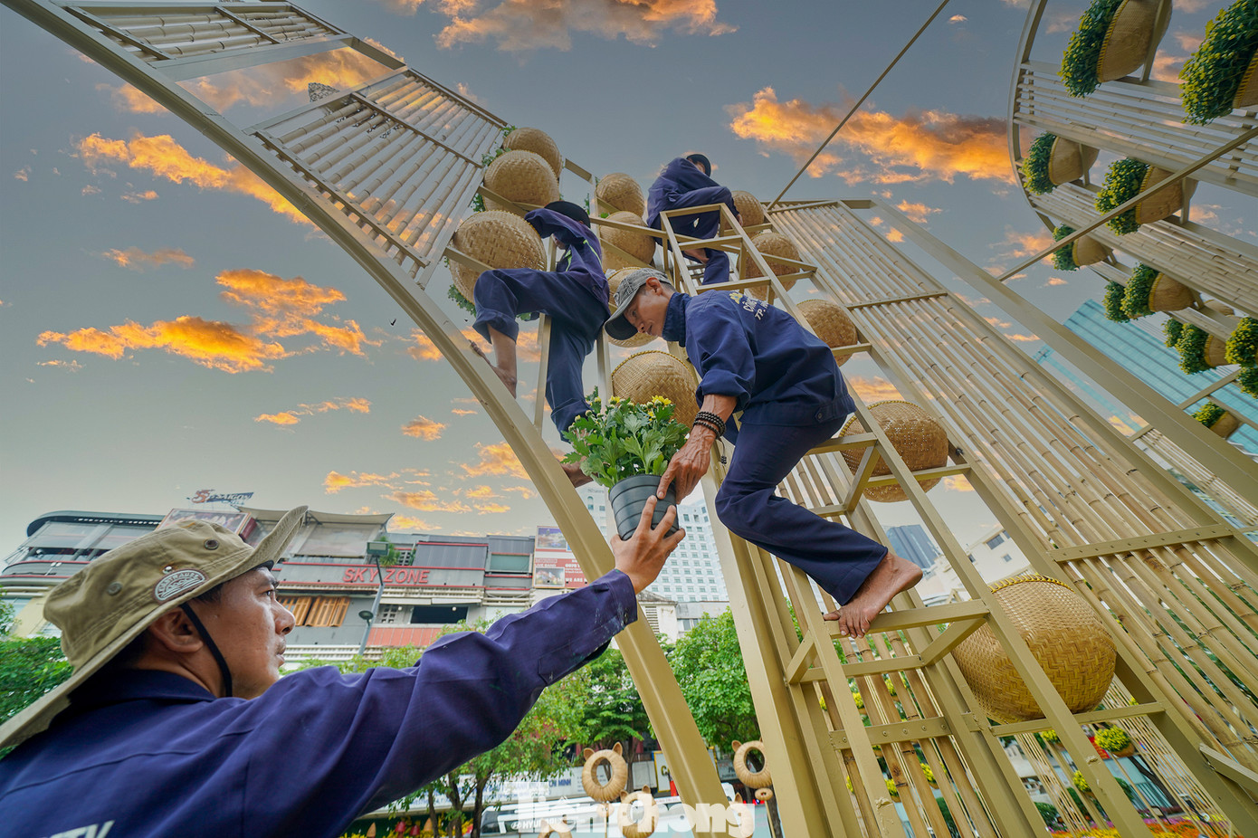Các công nhân đang vận chuyển hoa lên giàn treo.