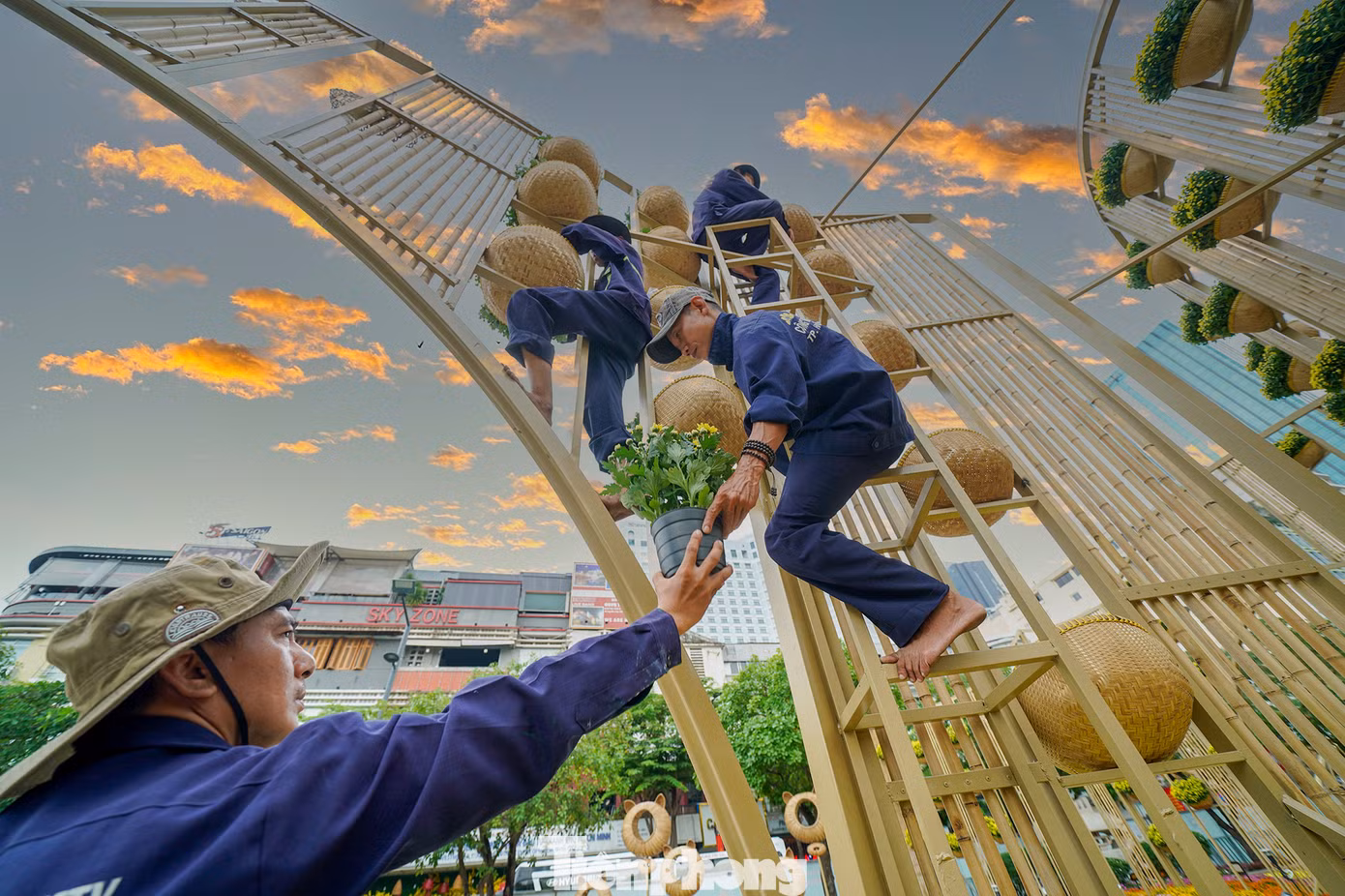 Các công nhân đang vận chuyển hoa lên giàn treo.