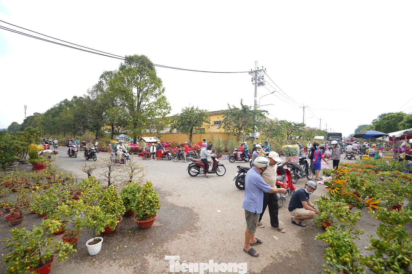 Ngày 29 Tết tại khu chợ này, giá hoa có giảm nhưng chỉ &quot;nhỏ giọt&quot;. Tâm lý nhiều người mua chờ các chủ sạp trả mặt bằng, xả bỏ hàng để ép giá nên càng về trưa, lượng người đổ về khu chợ này càng đông.