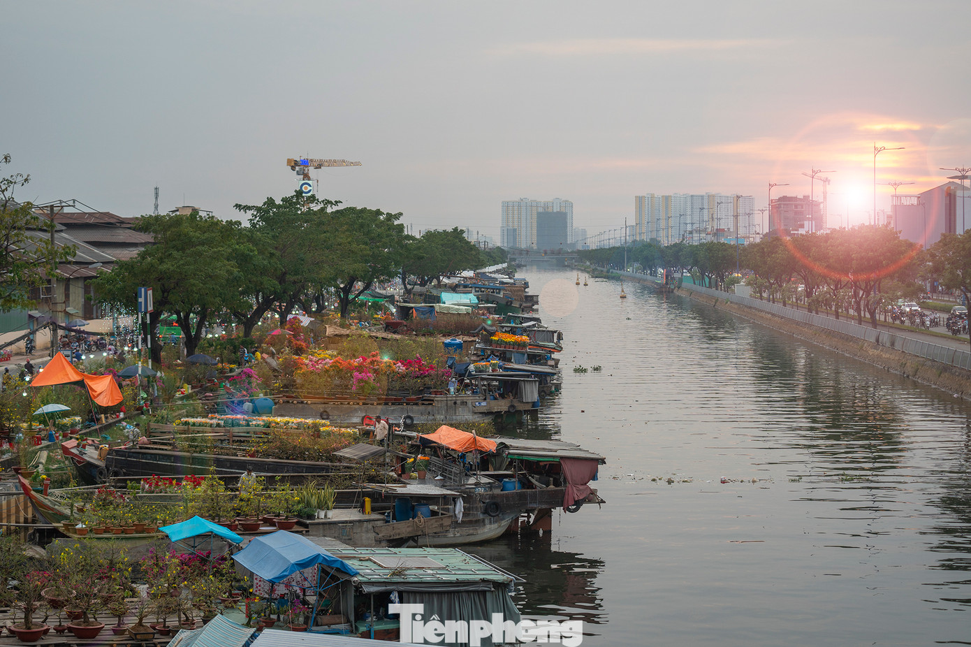 Hoàng hôn chợ hoa "Trên bến dưới thuyền".