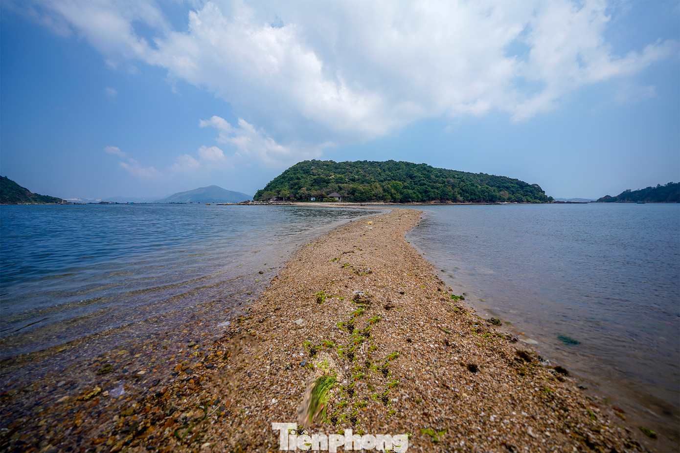 Những cụm rêu xanh ngắt hiện ra cùng con đường.