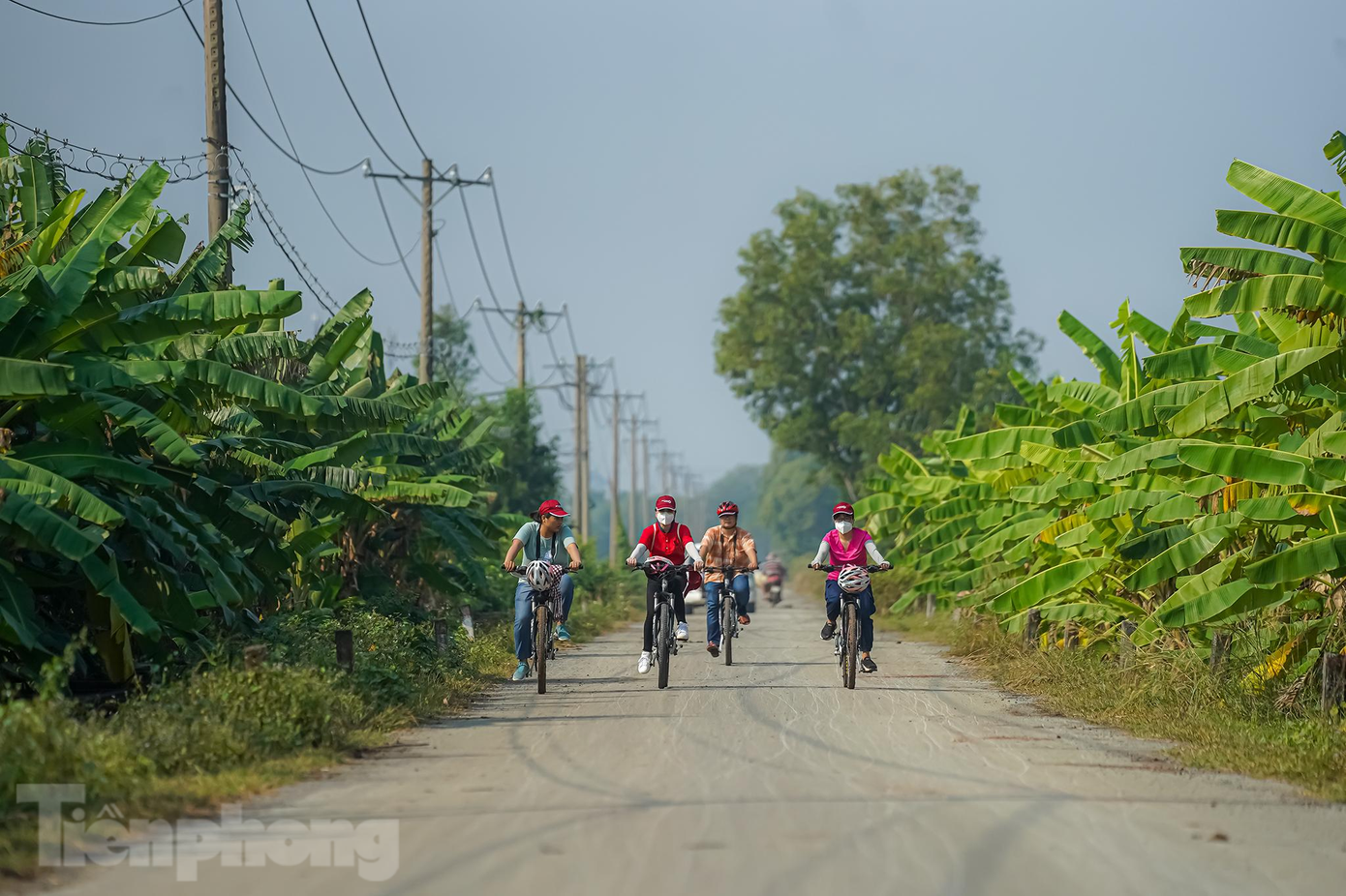 Cuối đoạn đường có hai hàng chuối xanh tươi này là trạm dừng nghỉ.