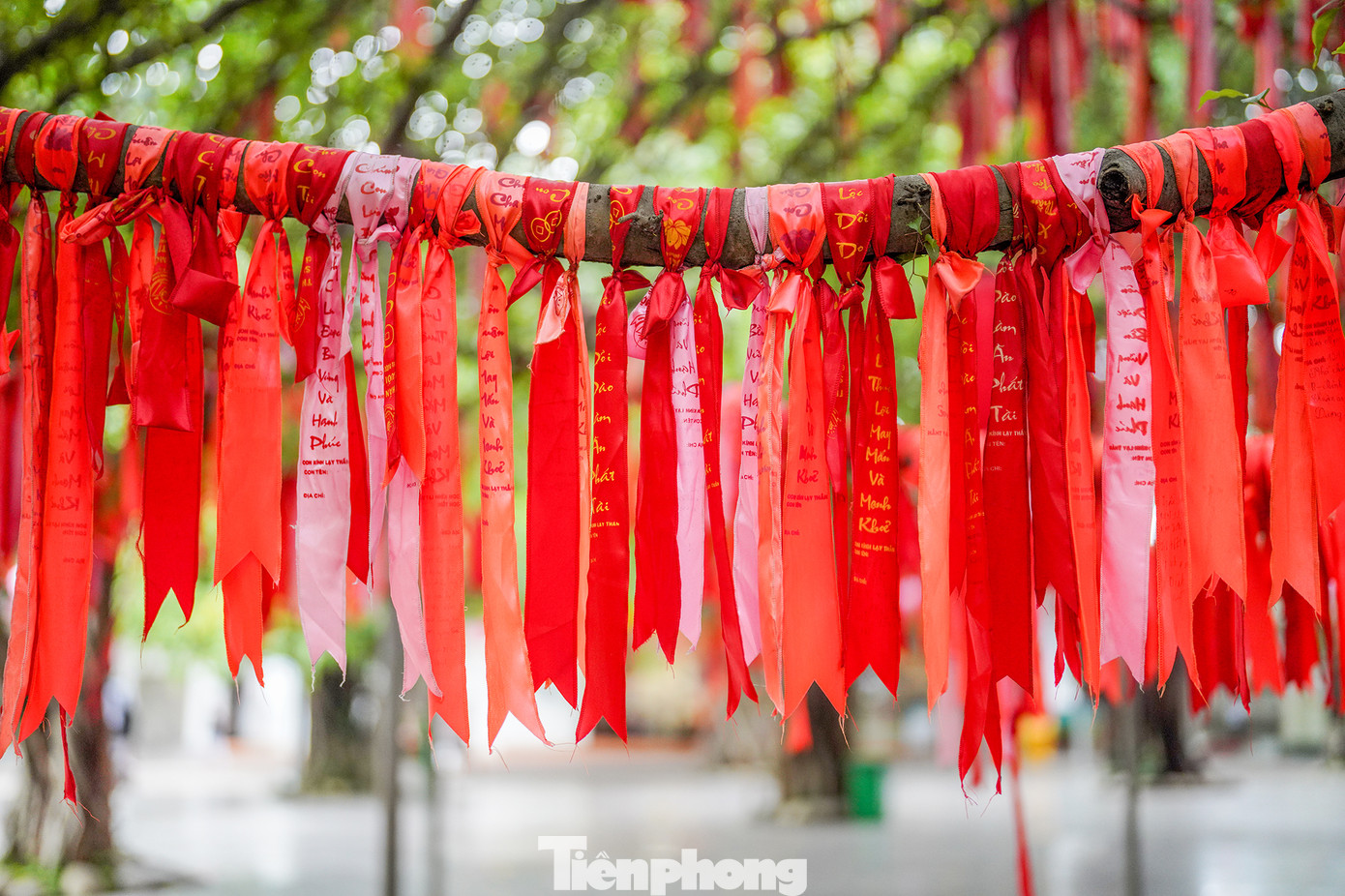 Những dải lụa được treo thành từng chùm, xen kẽ nhau, tạo nên khung cảnh vô cùng bắt mắt và ấn tượng. Không chỉ vậy, mỗi dải lụa đều mang theo những ước mơ, hy vọng của mỗi người. Điều này khiến cho cây ước nguyện trở thành một địa điểm không thể bỏ qua khi đến Suối Tiên. Những dải lụa được treo thành từng chùm, xen kẽ nhau, tạo nên khung cảnh vô cùng bắt mắt và ấn tượng. Không chỉ vậy, mỗi dải lụa đều mang theo những ước mơ, hy vọng của mỗi người. Điều này khiến cho cây ước nguyện trở thành một địa điểm không thể bỏ qua khi đến Suối Tiên.