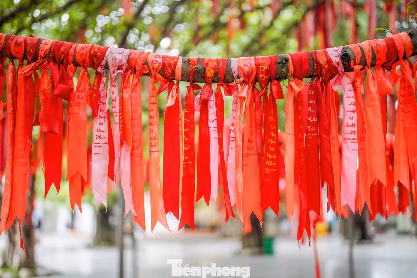 Những dải lụa được treo thành từng chùm, xen kẽ nhau, tạo nên khung cảnh vô cùng bắt mắt và ấn tượng. Không chỉ vậy, mỗi dải lụa đều mang theo những ước mơ, hy vọng của mỗi người. Điều này khiến cho cây ước nguyện trở thành một địa điểm không thể bỏ qua khi đến Suối Tiên.
