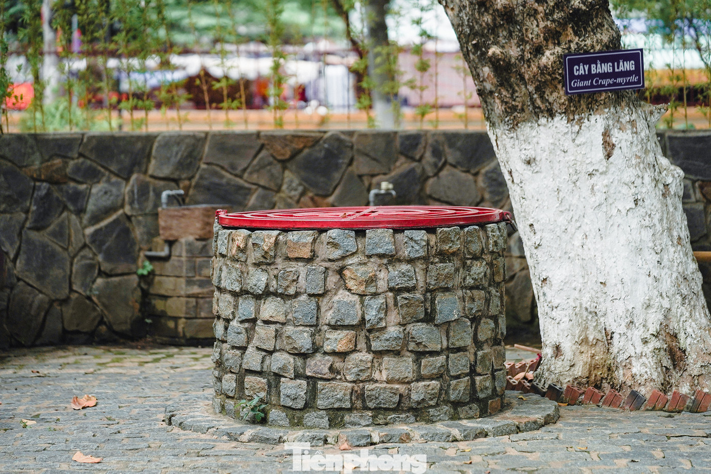 Chiếc giếng cổ vẫn còn tồn tại trong sân lăng theo năm tháng, nay phần miệng được khoá lại bằng khung sắt. Chiếc giếng cổ vẫn còn tồn tại trong sân lăng theo năm tháng, nay phần miệng được khoá lại bằng khung sắt.