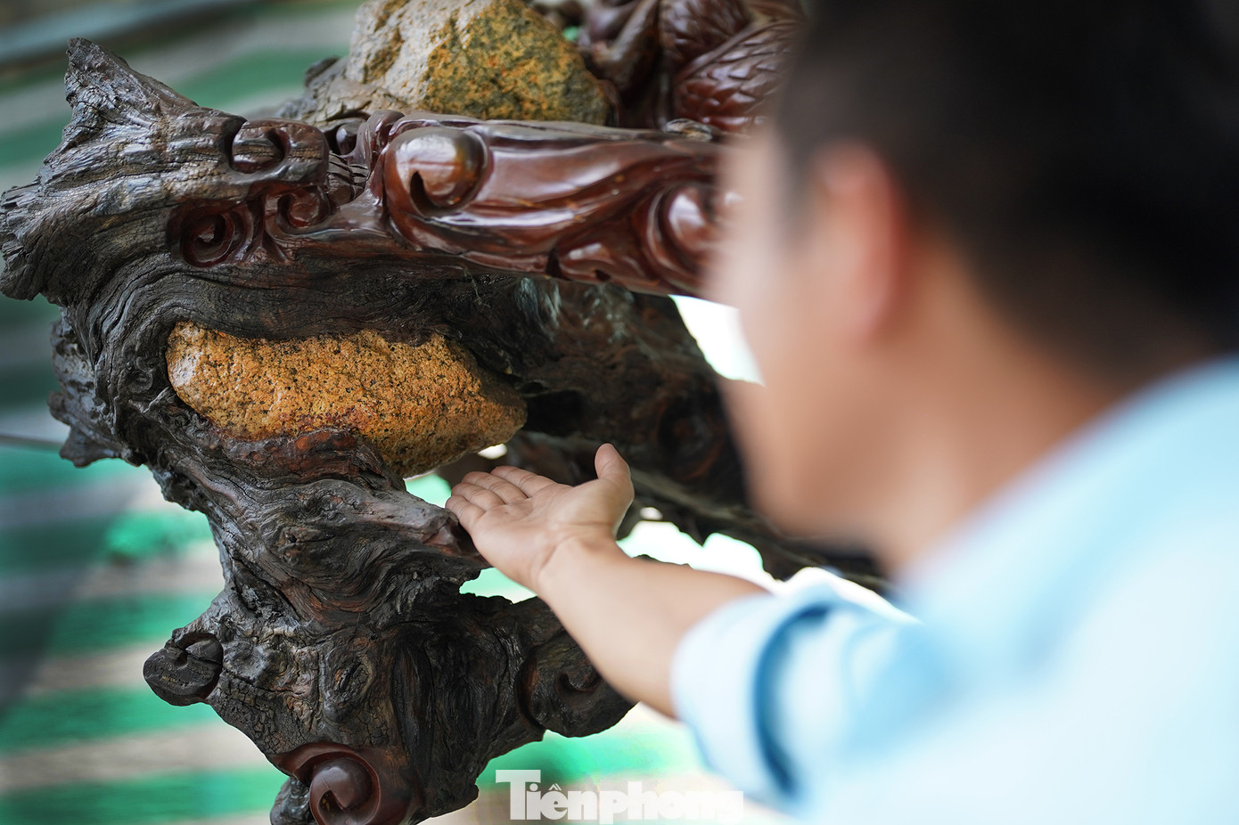 Những viên đá vẫn được giữ nguyên vẹn, được bao bọc bởi bộ rễ là một trong những nét độc đáo của tác phẩm này. Chia sẻ về quá trình sưu tầm rễ cây, anh cho biết mình đã có hàng chục năm trời đi sưu tầm tại các vùng Tây Nam bộ - Đông Nam bộ - Tây Nguyên để tìm được các bộ rễ cây khủng, hình dáng phù hợp.