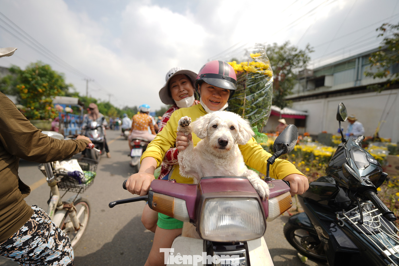 Khi một số nhà vườn chuẩn bị về quê thì giá hoa cũng rẻ đi.