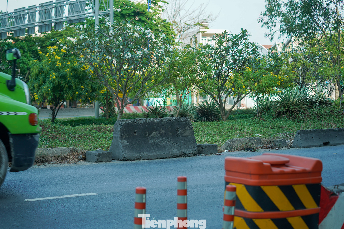 Hình ảnh không đẹp khi đoạn khi hàng cây chắn hai làn vẫn chưa xong hành lang an toàn.