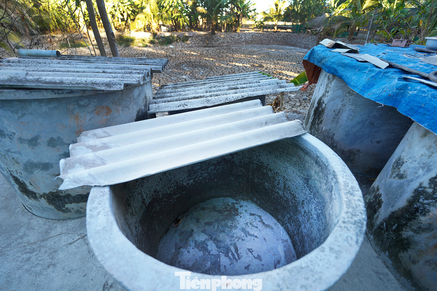 Xót xa hình ảnh vật dụng phục vụ nuôi cá, nuôi tôm phải xếp vào một gốc. Theo người dân một số người dân xã Tân Tập thì đã hai tháng sống trong tình trạng thiếu nước nghiêm trọng. Xót xa hình ảnh vật dụng phục vụ nuôi cá, nuôi tôm phải xếp vào một gốc. Theo người dân một số người dân xã Tân Tập thì đã hai tháng sống trong tình trạng thiếu nước nghiêm trọng.