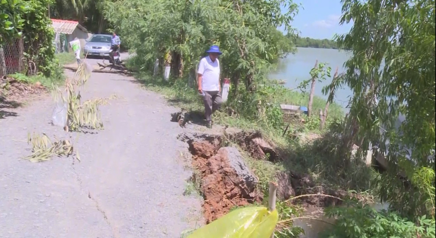 Đoạn đê được xây dựng để bảo vệ an toàn cho gần 40 hộ dân, 330 ha đất hoa màu đang trồng thanh long cùng nhiều cây ăn trái khác.