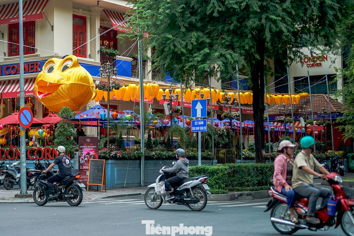 Một chú rắn "bò ra khỏi hang" chào xuân Ất Tỵ ngay góc đường Pasteur- Alexandre De Rhodes, gần hội trường Thống Nhất (Quận 1).