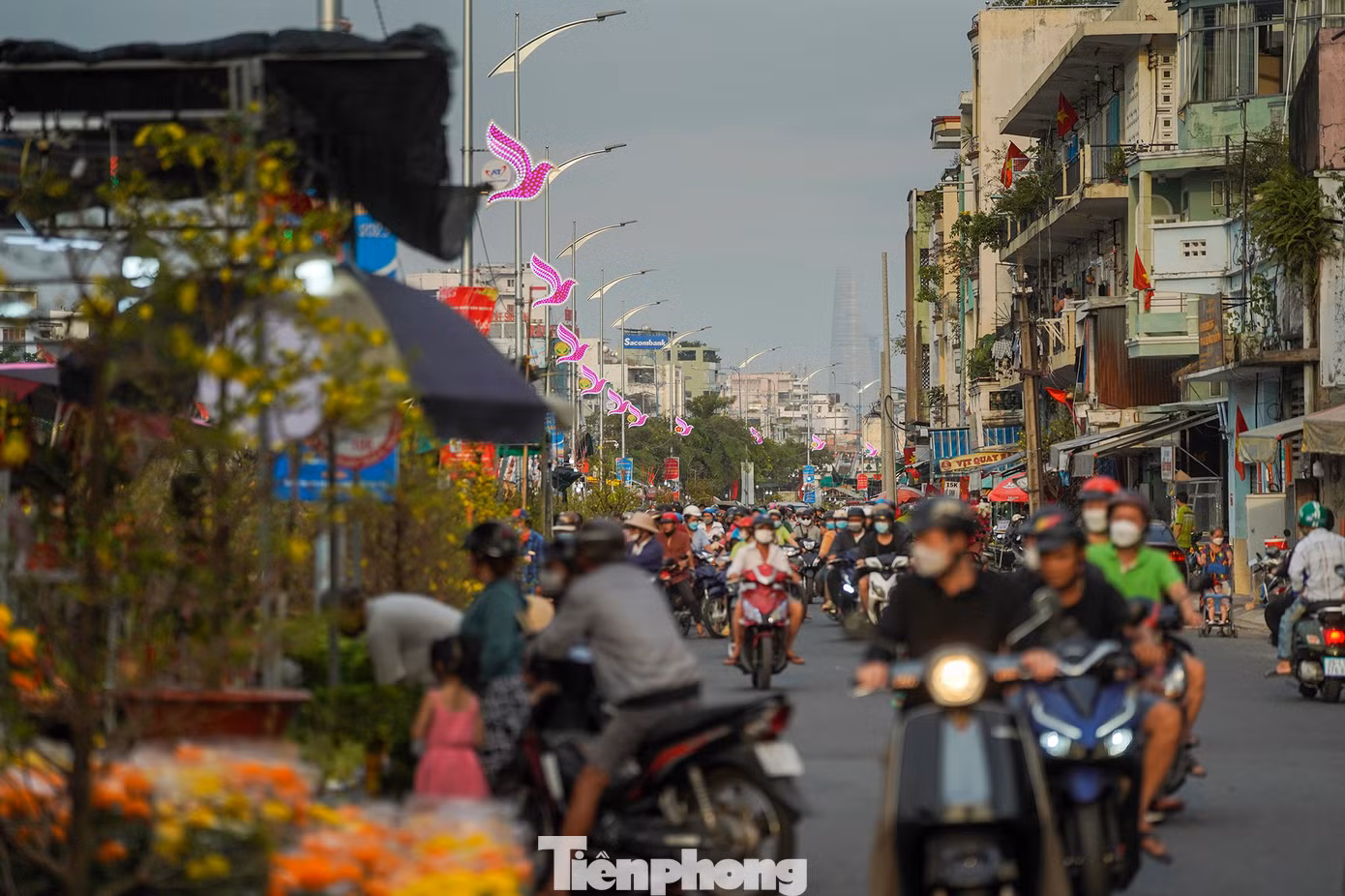 Theo Ban tổ chức, chợ hoa xuân “Trên bến dưới thuyền” Tết Quý Mão năm 2023 có quy mô gồm 666 điểm kinh doanh hoa, cây kiểng, trái cây, phục vụ nhu cầu mua sắm ngày Tết.