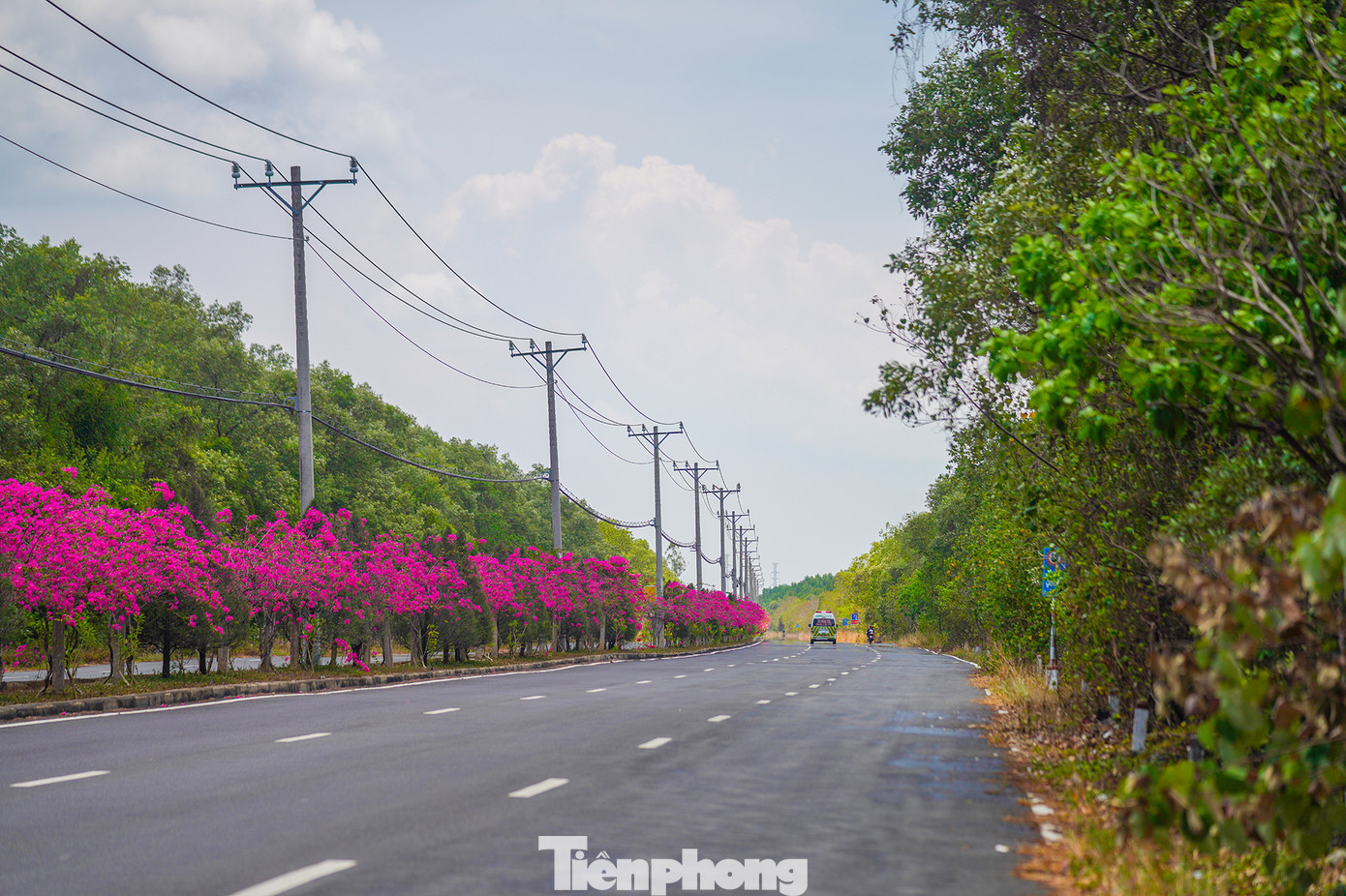 Đường Rừng Sác (Cần Giờ) là tuyến đường độc đạo đưa du khách vượt cánh rừng, tiến sát bờ biển. Dọc tuyến đường, khách tham quan được tận hưởng không khí trong lành với hệ thống động, thực vật đặc trưng.