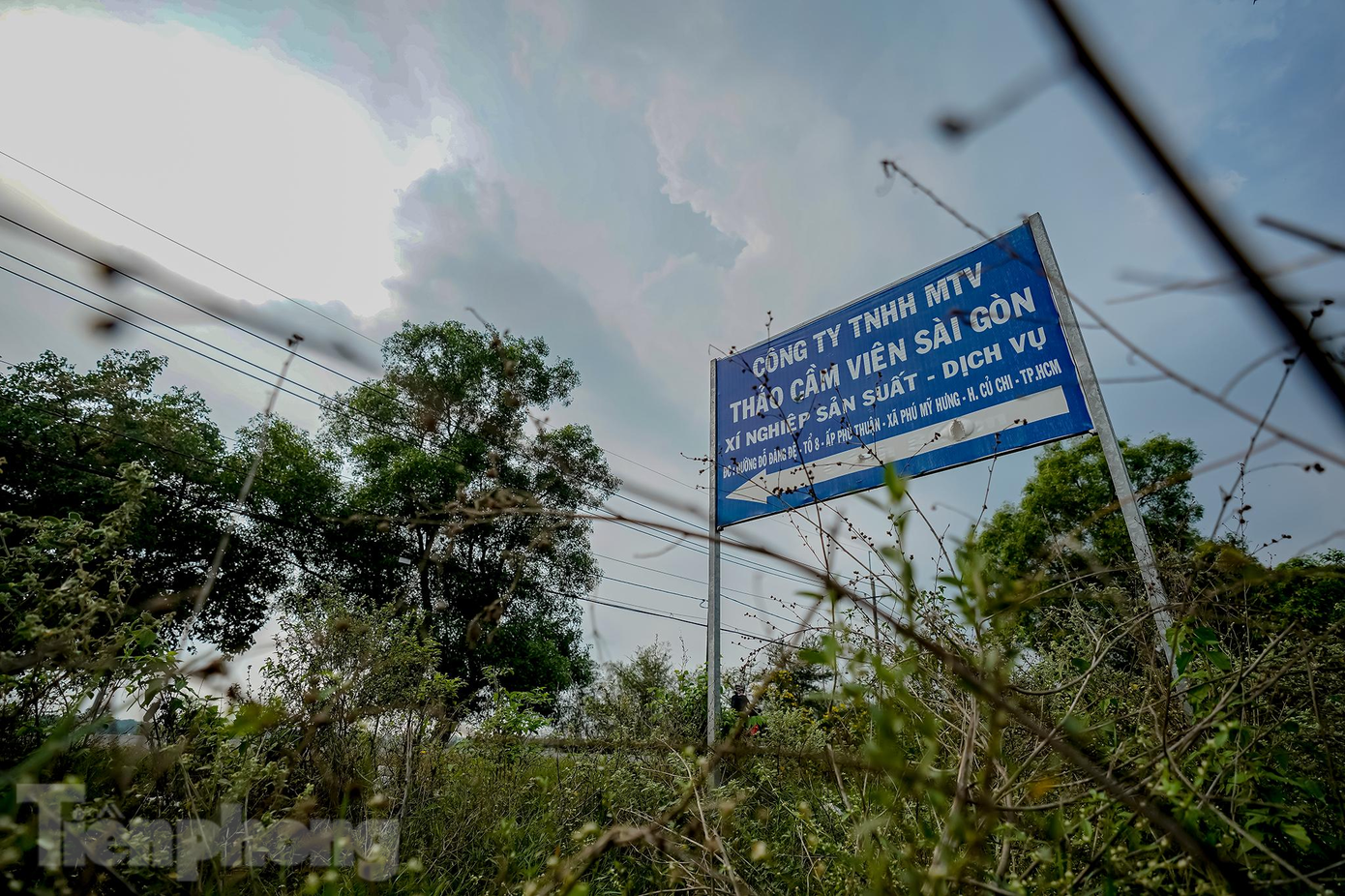 Tháng 6/2019, Thanh tra Chính phủ đã nêu hàng loạt sai phạm trong quá trình triển khai dự án Sài Gòn Safari tại kết luận số 2112. Cụ thể, dự án có quy mô lớn, diện tích đất phải thu hồi hơn 450ha, nhưng UBND TP.HCM đã chưa thực hiện đúng trình tự pháp luật. Trong đó, TPHCM đã giao dự án cho Công ty TNHH MTV Thảo Cầm Viên làm chủ đầu tư, nhưng doanh nghiệp này không đủ năng lực thực hiện.