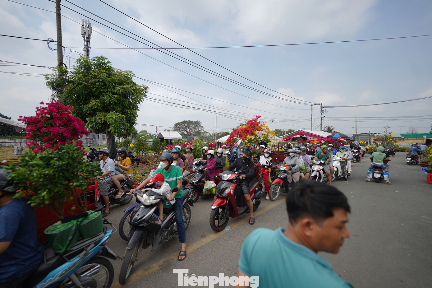 Ngày 29 Tết tại khu chợ này, giá hoa có giảm nhưng chỉ &quot;nhỏ giọt&quot;. Tâm lý nhiều người mua chờ các chủ sạp trả mặt bằng, xả bỏ hàng để ép giá nên càng về trưa, lượng người đổ về khu chợ này càng đông.