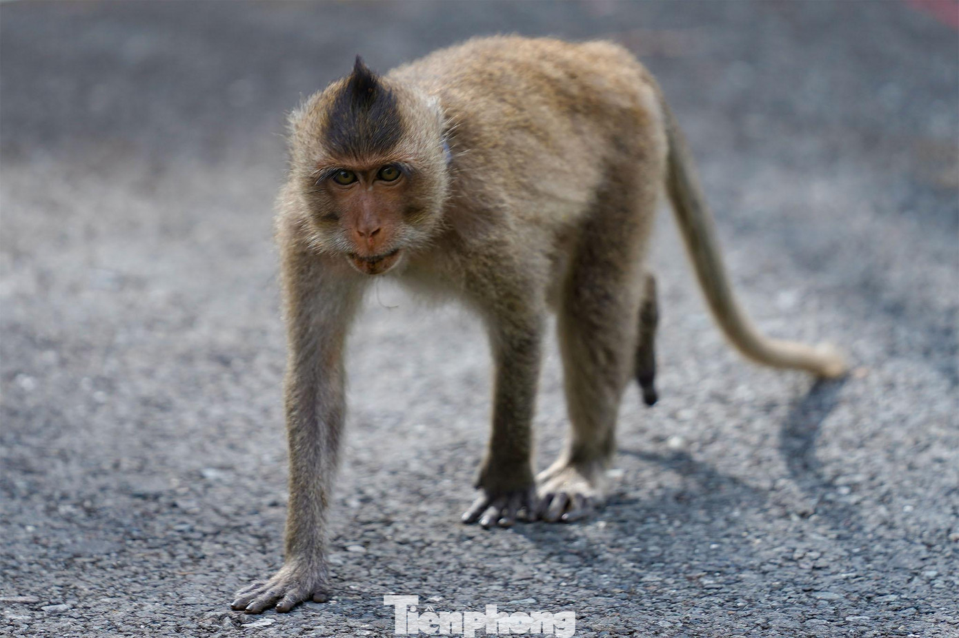 Năm 2013, Ban Thư ký Công ước Ramsar công nhận Vườn quốc gia Côn Đảo là vùng đất ngập nước có tầm quan trọng quốc tế thứ 2.203 của thế giới và Khu Ramsar thứ 6 của Việt Nam. Năm 2013, Ban Thư ký Công ước Ramsar công nhận Vườn quốc gia Côn Đảo là vùng đất ngập nước có tầm quan trọng quốc tế thứ 2.203 của thế giới và Khu Ramsar thứ 6 của Việt Nam.