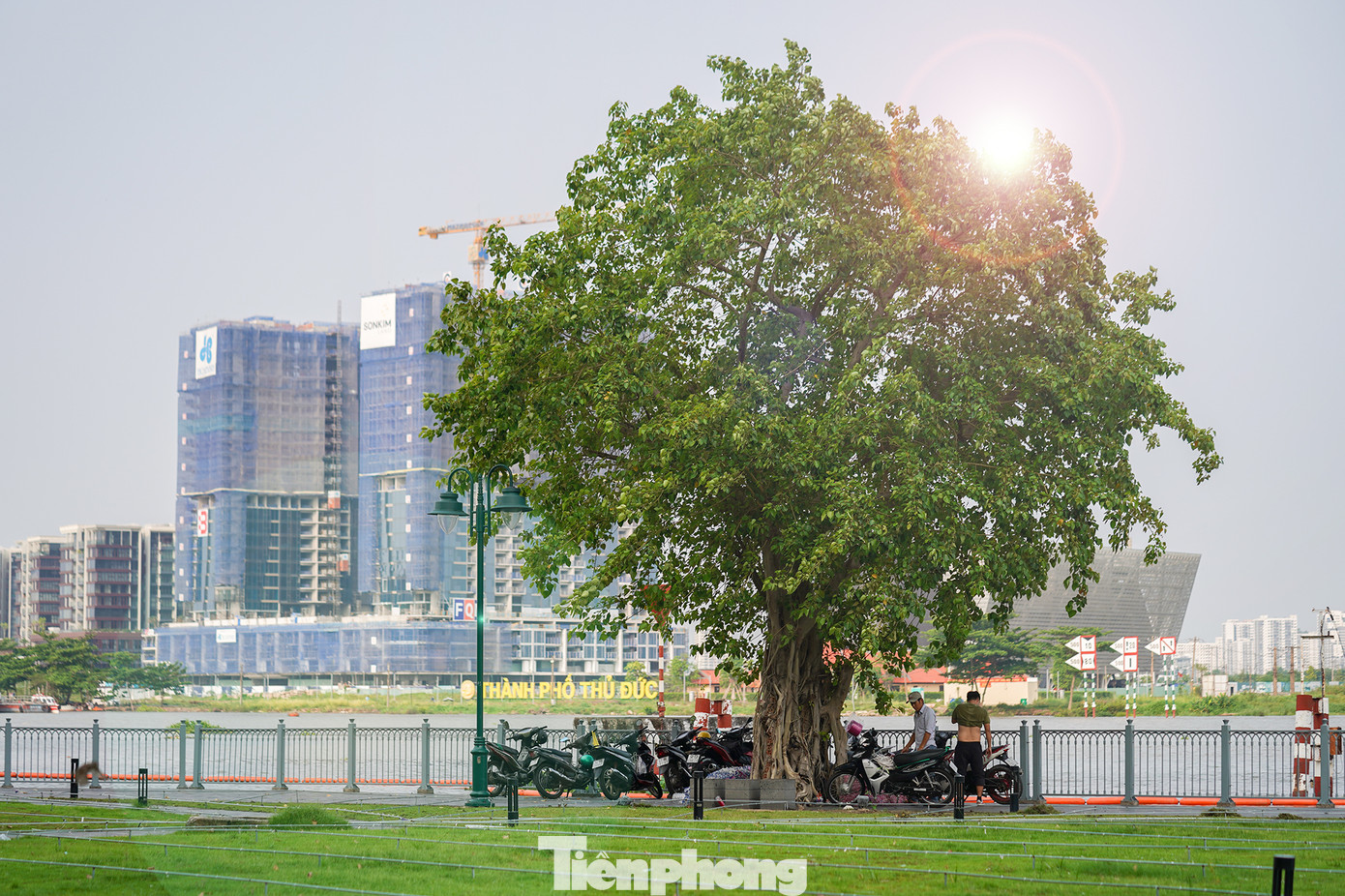 &quot;Cây cô đơn&quot; đang là điểm nhấn thu hút các bạn trẻ chiều chiều ra đây chụp ảnh, quay clip...