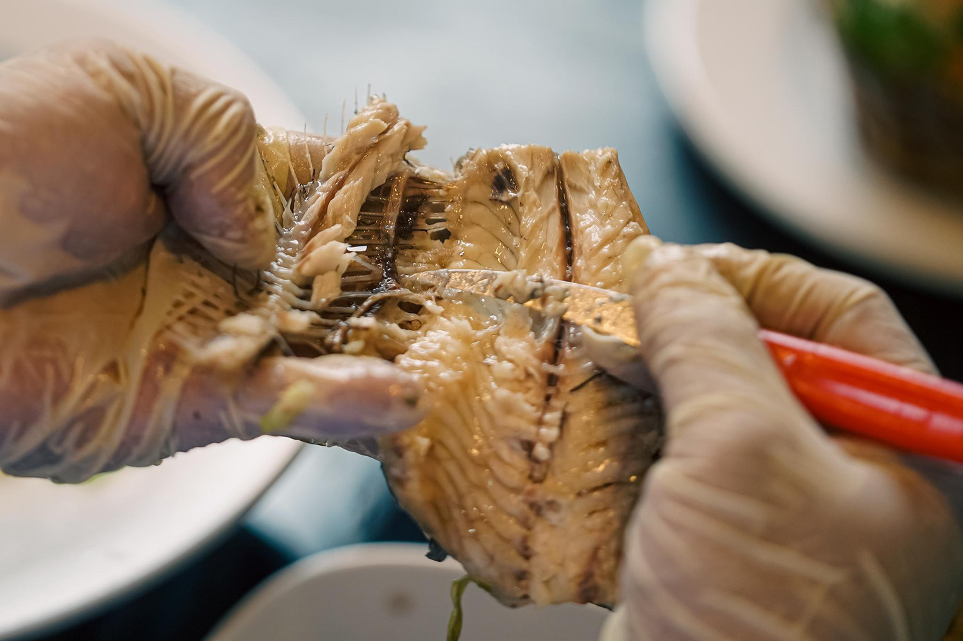 Nếu thực khách tò mò, muốn tìm hiểu cách nấu thì đầu bếp cũng không ngần ngại chia sẻ từ cách tách xương đến cách xử lý như thế nào cho thịt cá không bị tanh.