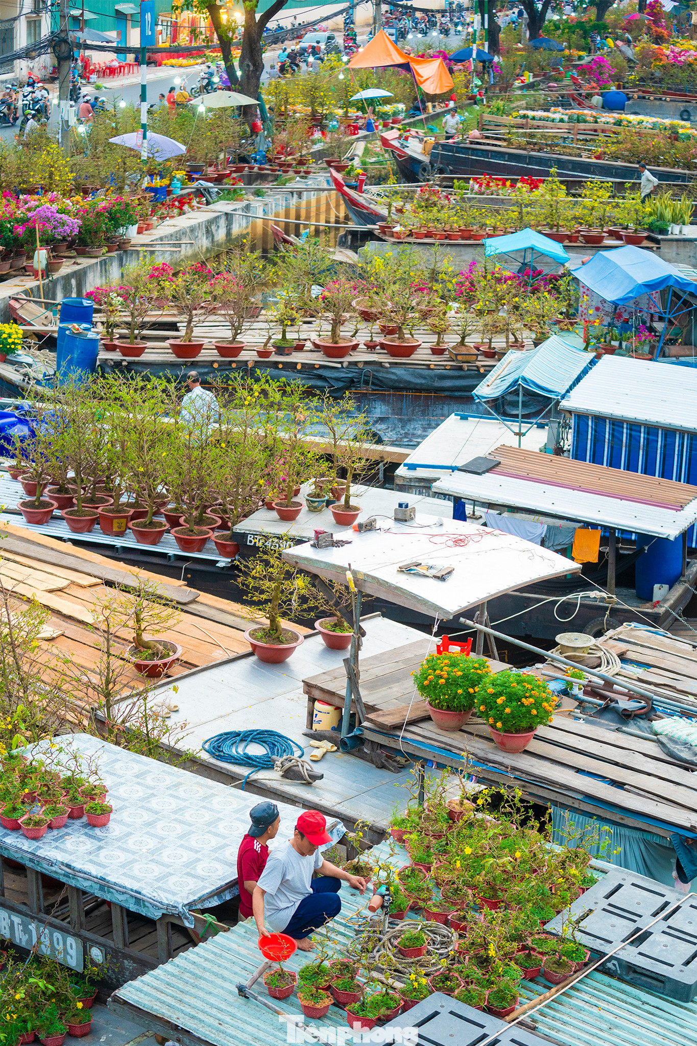 Một góc chợ hoa "Trên bến dưới thuyền".