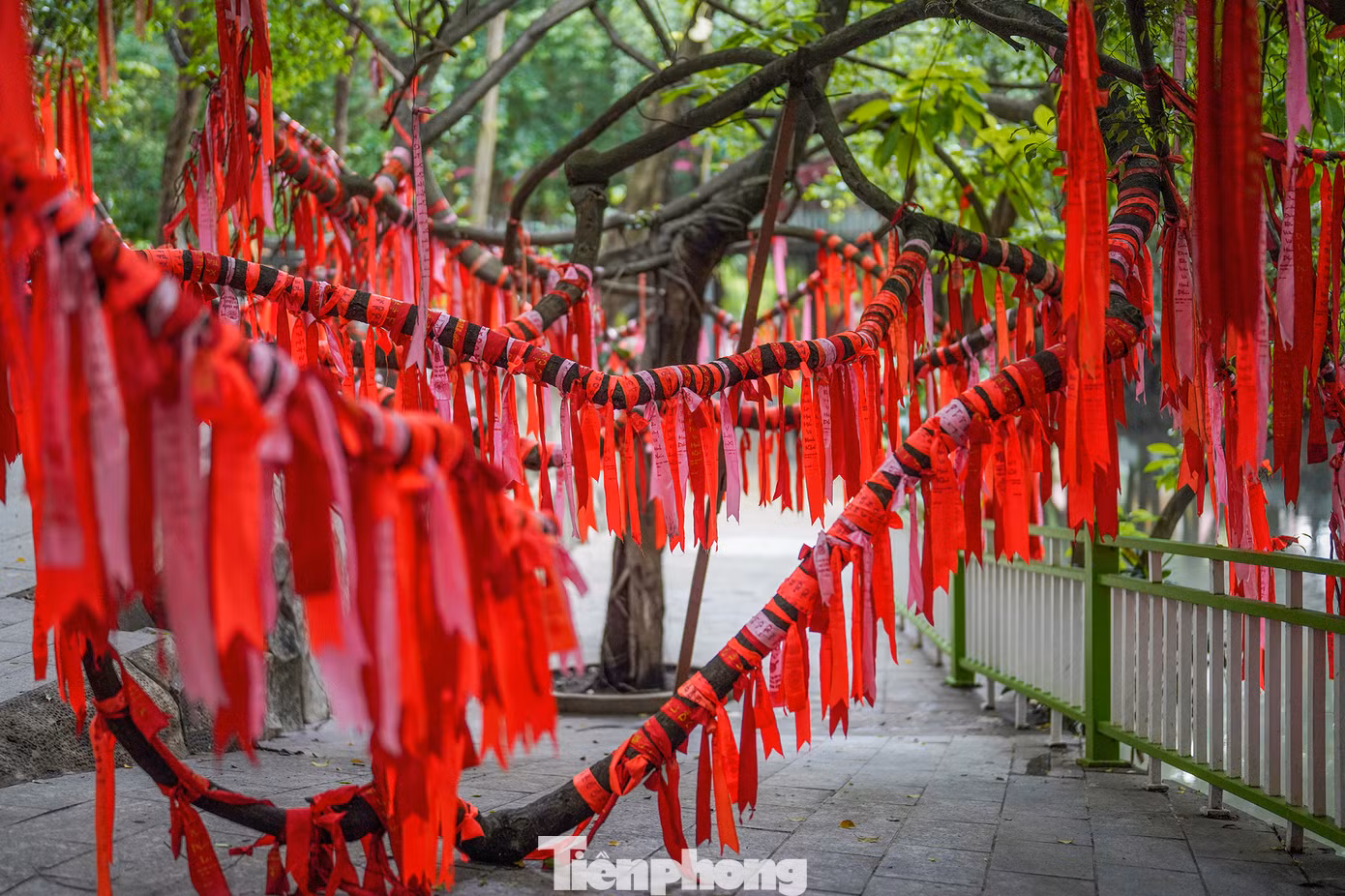 Những dải lụa được treo thành từng chùm, xen kẽ nhau, tạo nên khung cảnh vô cùng bắt mắt và ấn tượng. Không chỉ vậy, mỗi dải lụa đều mang theo những ước mơ, hy vọng của mỗi người. Điều này khiến cho cây ước nguyện trở thành một địa điểm không thể bỏ qua khi đến Suối Tiên.