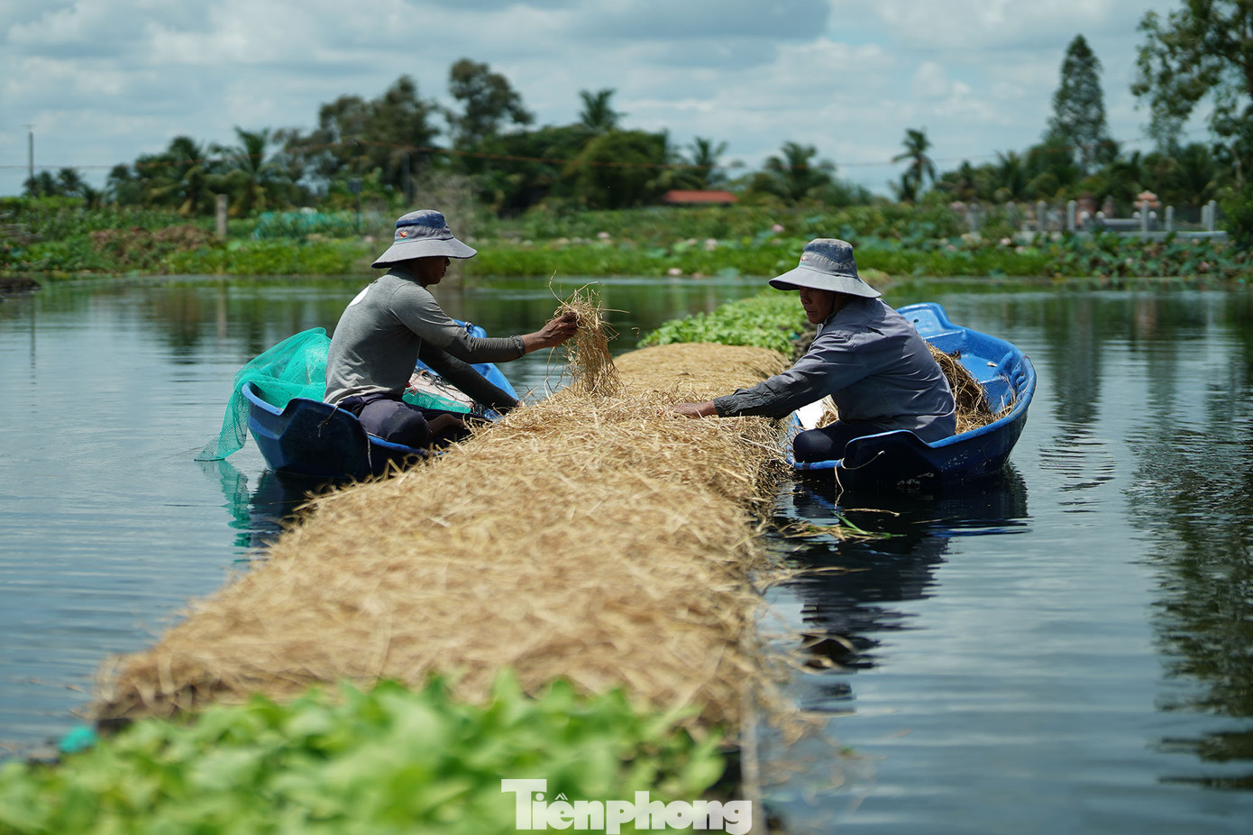Nhân công vườn rau không mất công tưới và diệt trừ sâu bệnh, chỉ gia công các giá thể theo các quy chuẩn và chờ đến ngày thu hoạch. Việc chăm sóc cũng dễ hơn so với trồng trên bờ. Tại đây, anh tạo việc làm thường xuyên cho 10-12 lao động có thu nhập ổn định. Nhân công vườn rau không mất công tưới và diệt trừ sâu bệnh, chỉ gia công các giá thể theo các quy chuẩn và chờ đến ngày thu hoạch. Việc chăm sóc cũng dễ hơn so với trồng trên bờ. Tại đây, anh tạo việc làm thường xuyên cho 10-12 lao động có thu nhập ổn định.