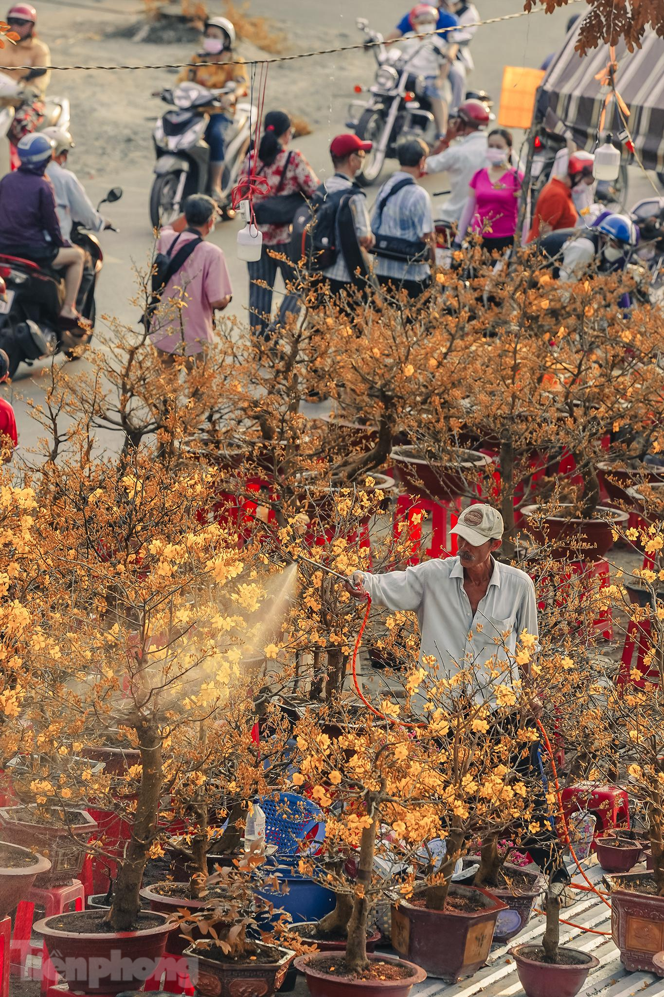 Ông Tài thuê ghe chở 100 chậu mai từ Bến Tre cập Bến Bình Đông từ 23 đến 29 Tết. Với khoảng vỉa hè ngang 5m, ông bày chủ yếu là mai đại lộc 24 cánh để chào hàng. Khách có thể xuống ghe chọn mai nếu không ưng mấy chậu trên đường.